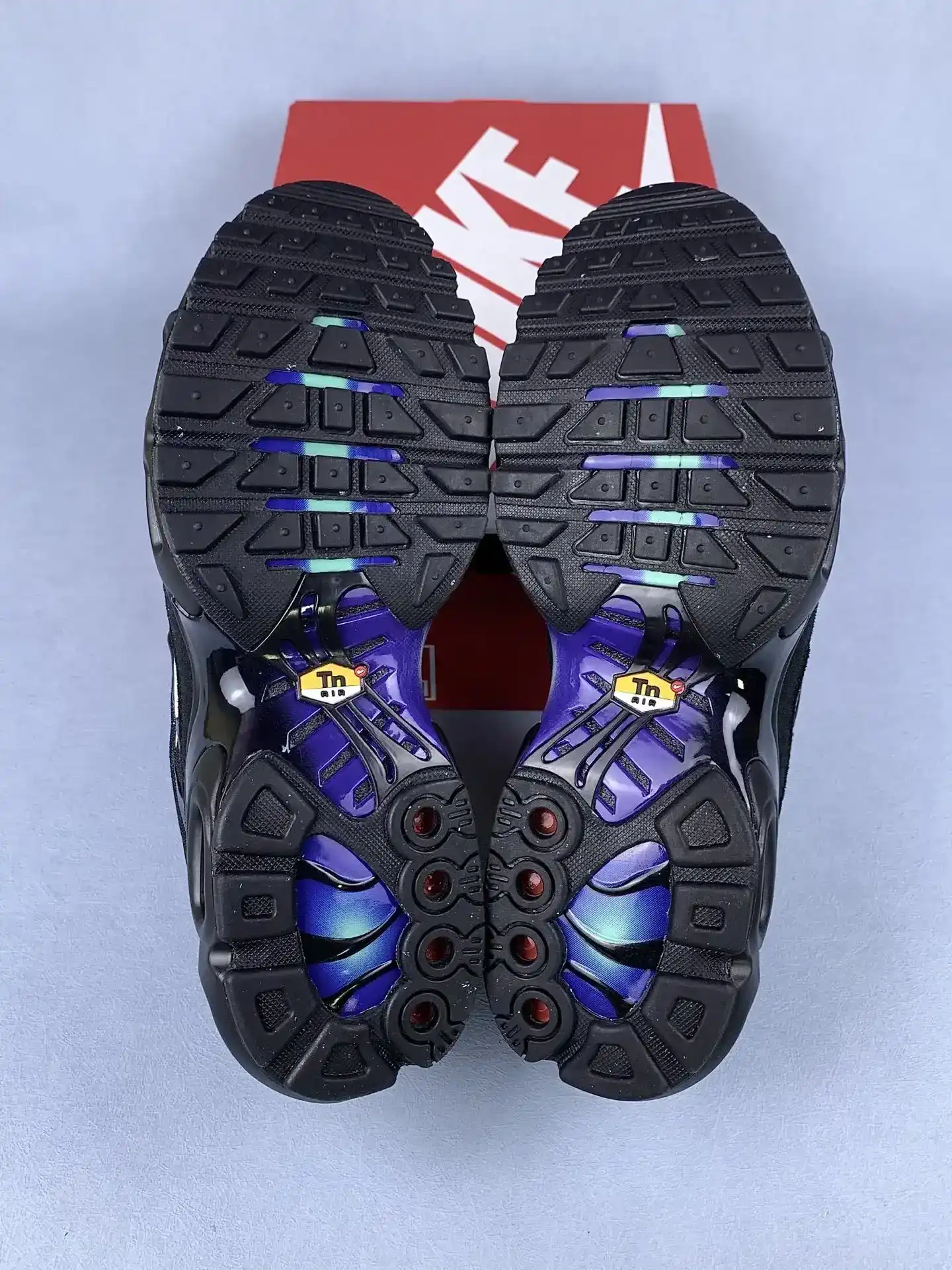 Nike Air Max Plus 'Unity' Shoes product photo from LabelPicks