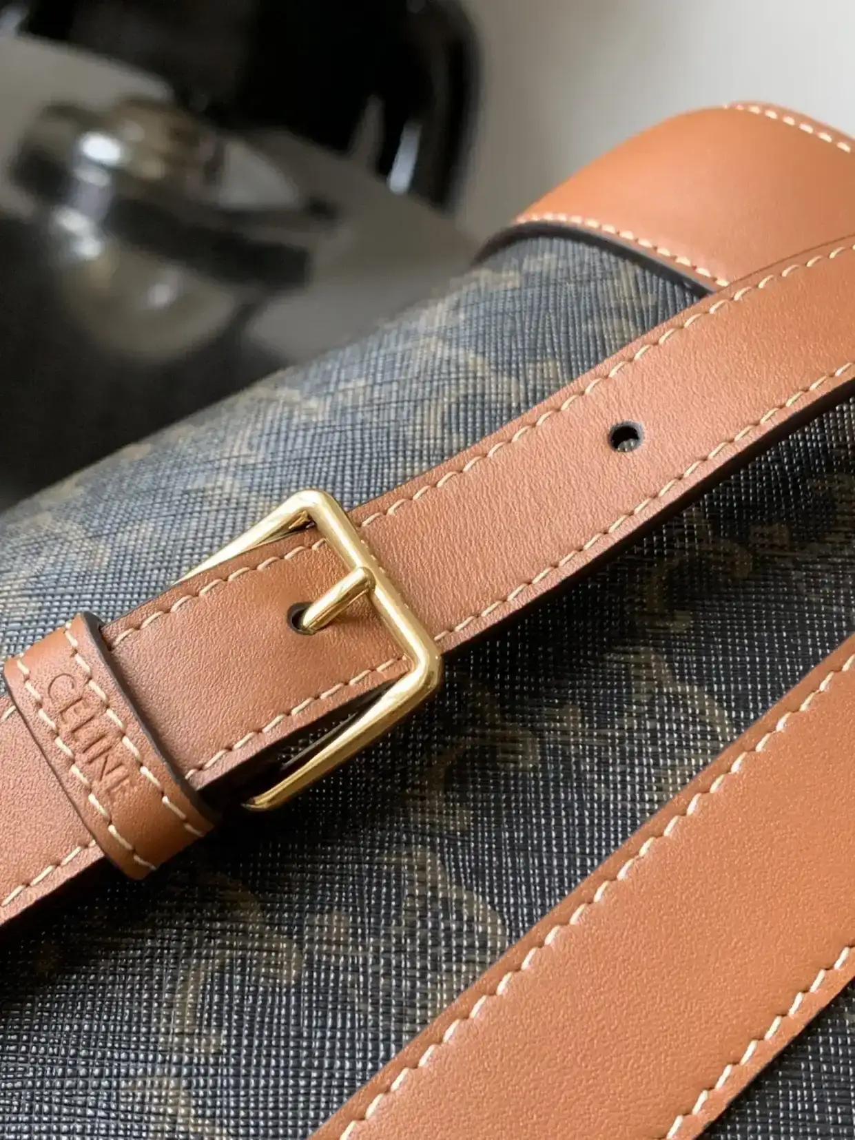 Celine Triomphe Canvas Bucket Bag product photo from LabelPicks