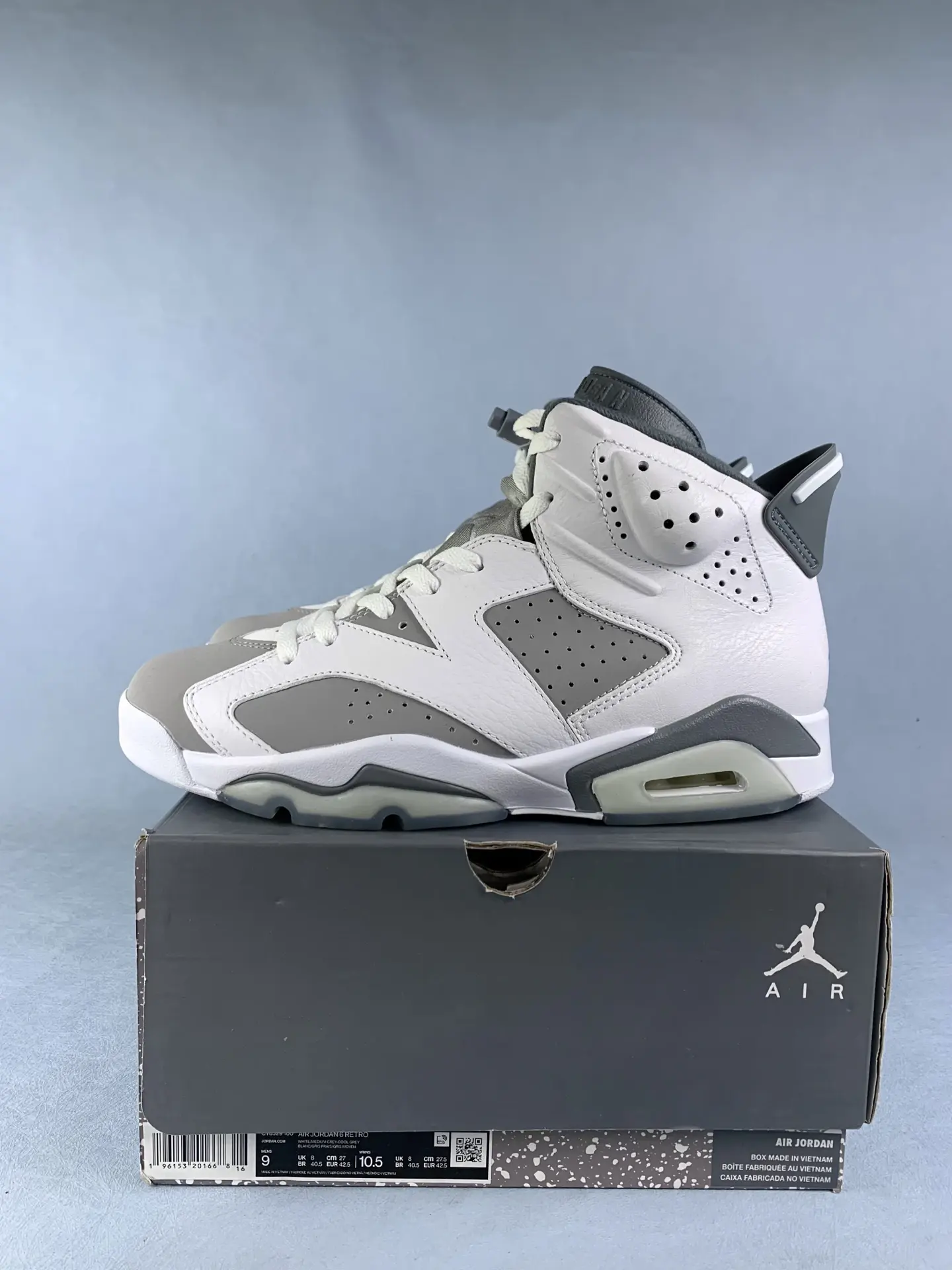 Air Jordan 6 Retro 