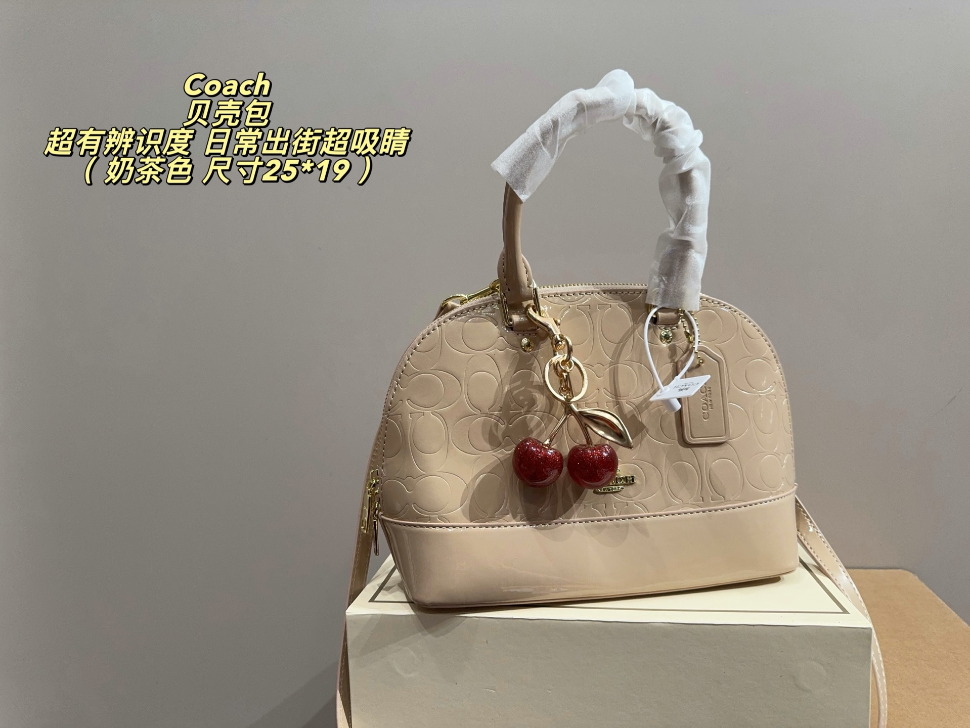 Coach Shell Bag