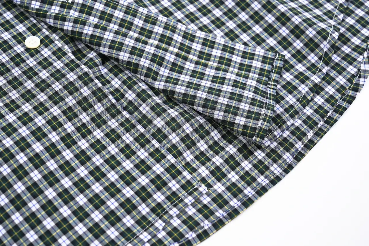 CELINE Green White Plaid Triomphe Embroidered Shirt product photo from LabelPicks