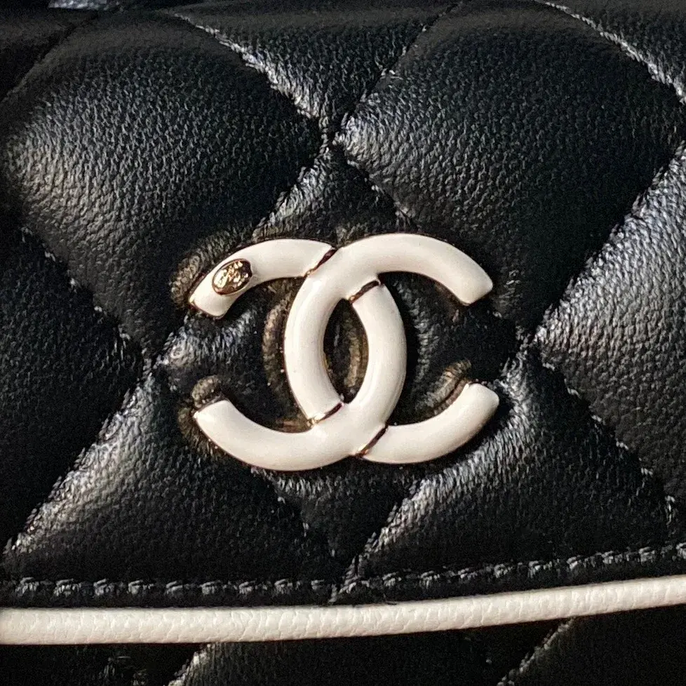 Chanel Quilted Leather Backpack product photo from LabelPicks