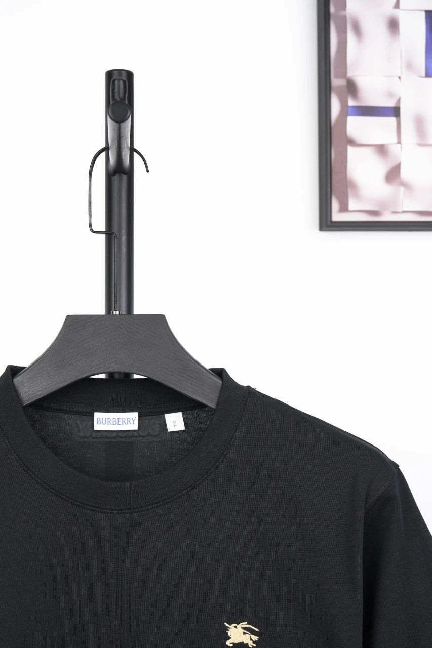 Burberry Black Check Sleeve Trim Crewneck T-Shirt product photo from LabelPicks