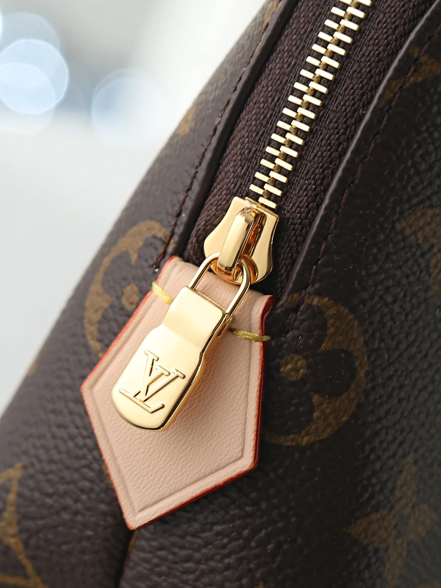 Louis Vuitton Monogram Canvas Clutch product photo from LabelPicks
