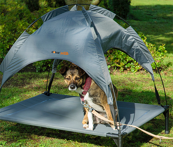 Outdoor-Hundelounge