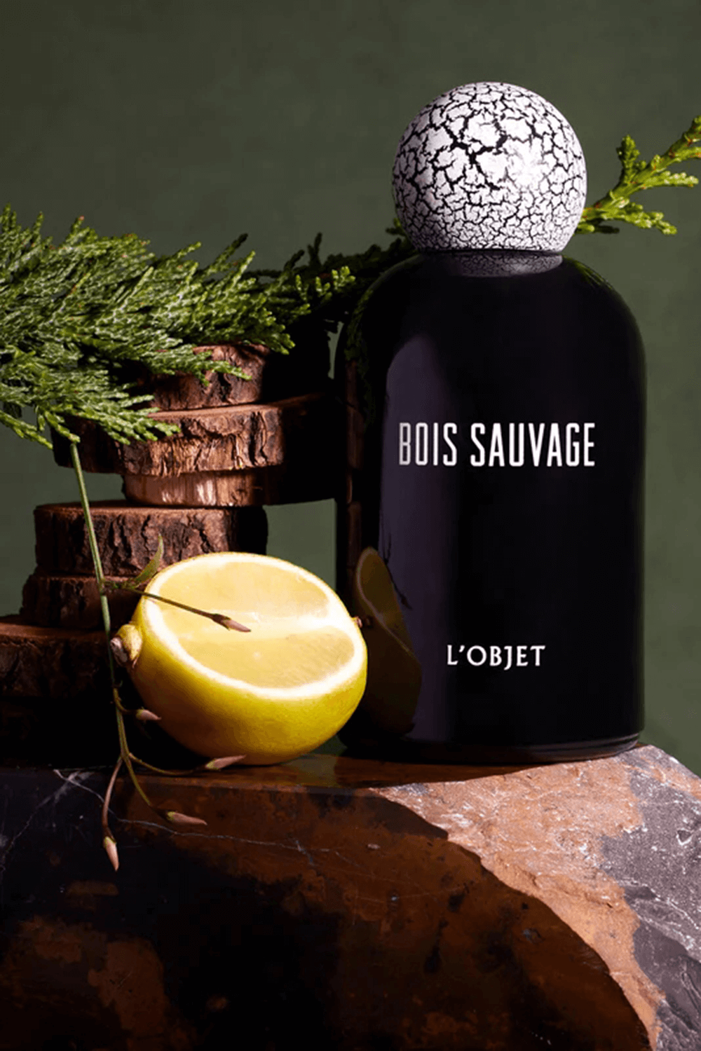 LOBJET Bois Sauvage Eau de Parfum 50 ml