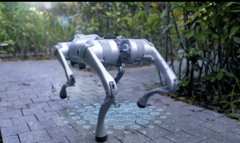 Unitree Go 2 EDU Flagship Version Quadruped Robot Dog AI Large Model Bionic Companion SDK Program - GreshamTech