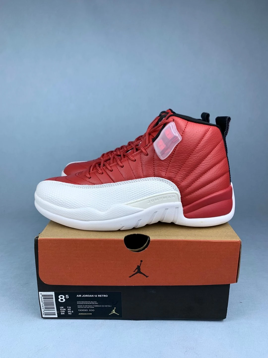 Air Jordan 12 Retro 