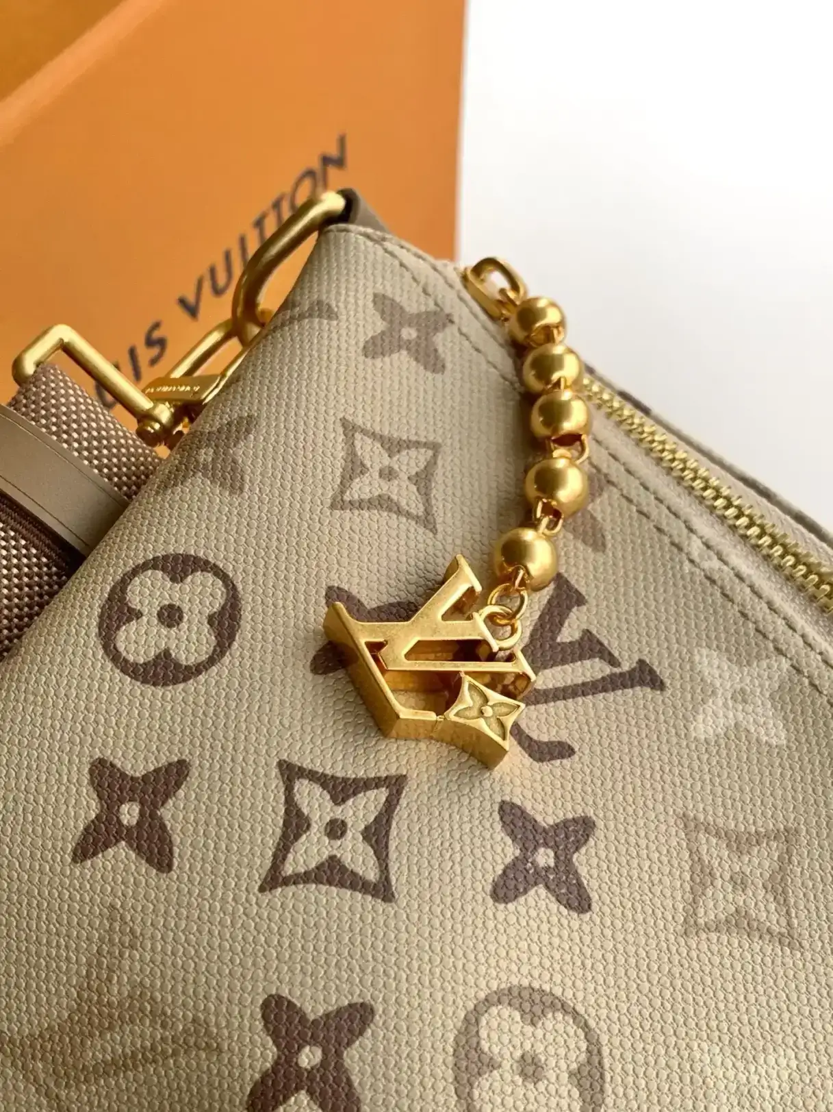 Louis Vuitton Curved Hobo Bag product photo from LabelPicks