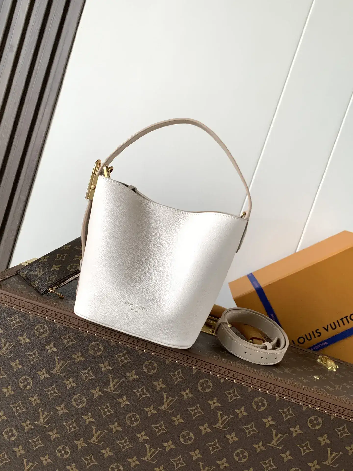 Louis Vuitton Grained Leather Bucket Bag product photo from LabelPicks
