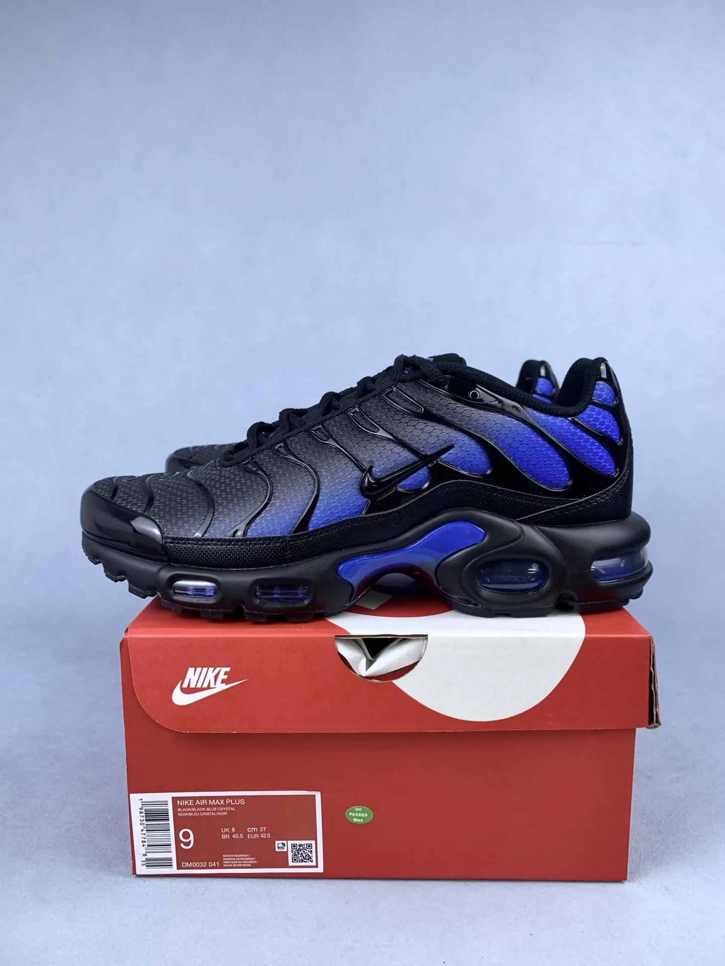Nike Air Max Plus Shoes product photo from LabelPicks