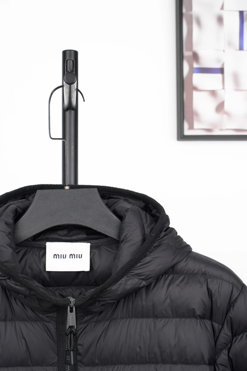 Miu Miu Black Logo Hooded Down Jacket product photo from LabelPicks