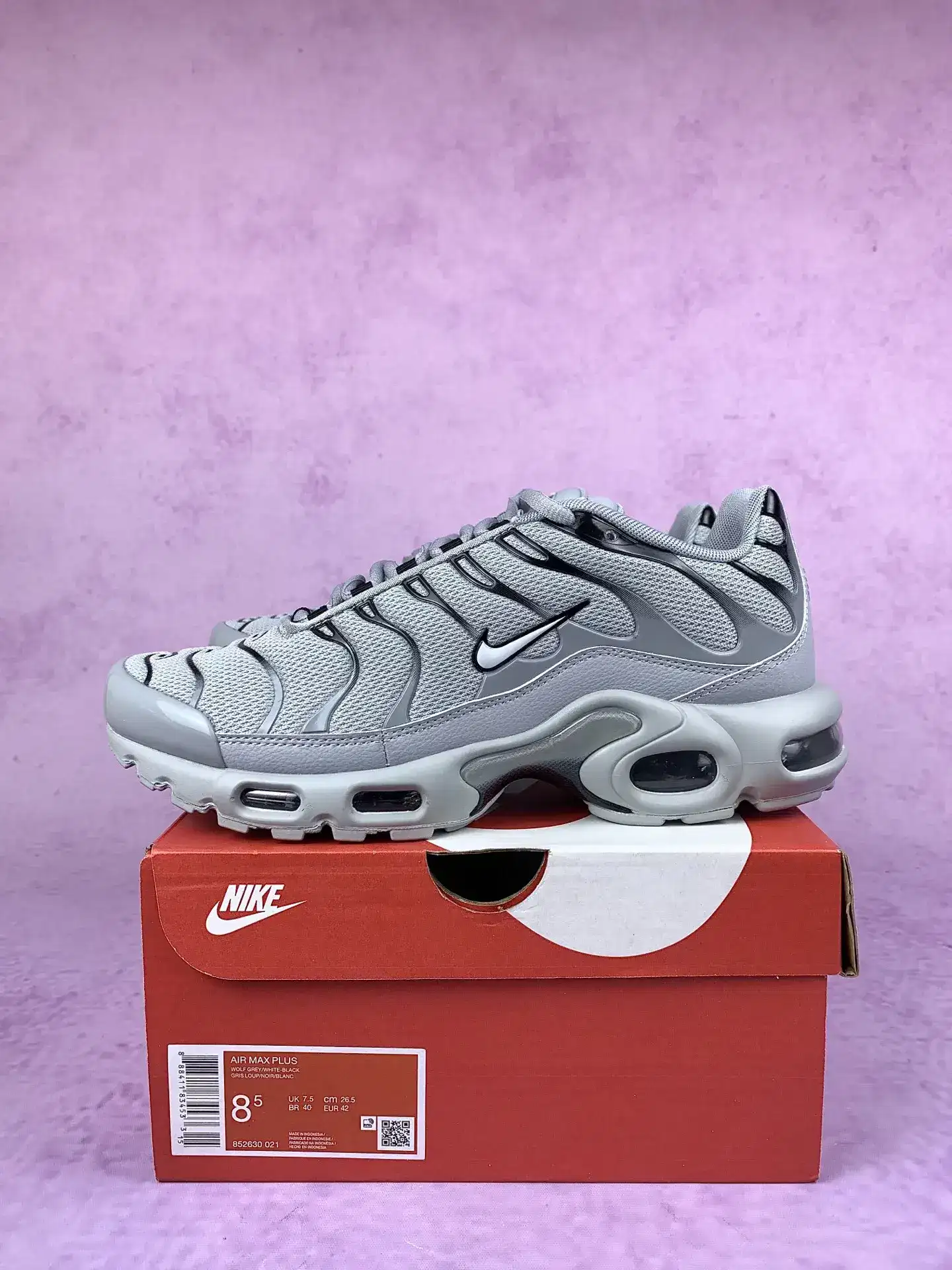 Nike Air Max Plus Shoes product photo from LabelPicks