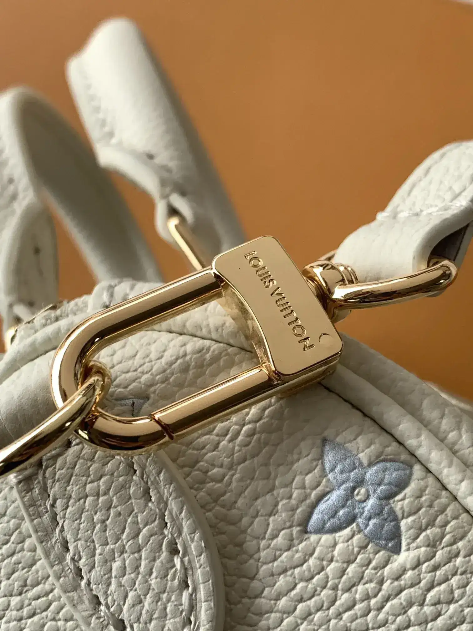 Louis Vuitton Speedy Pink Grained Leather Top Handle Bag product photo from LabelPicks
