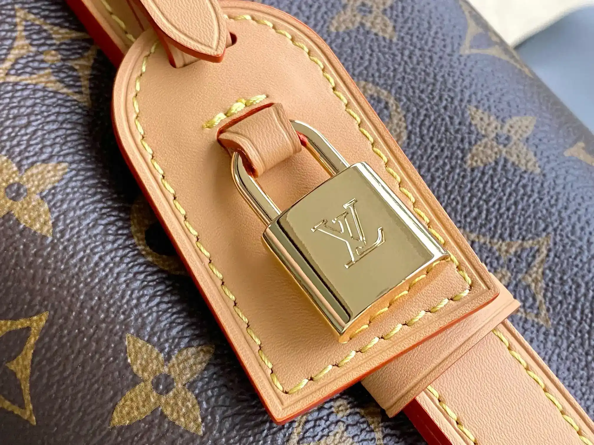 Louis Vuitton Canvas and Leather Bucket Bag product photo from LabelPicks