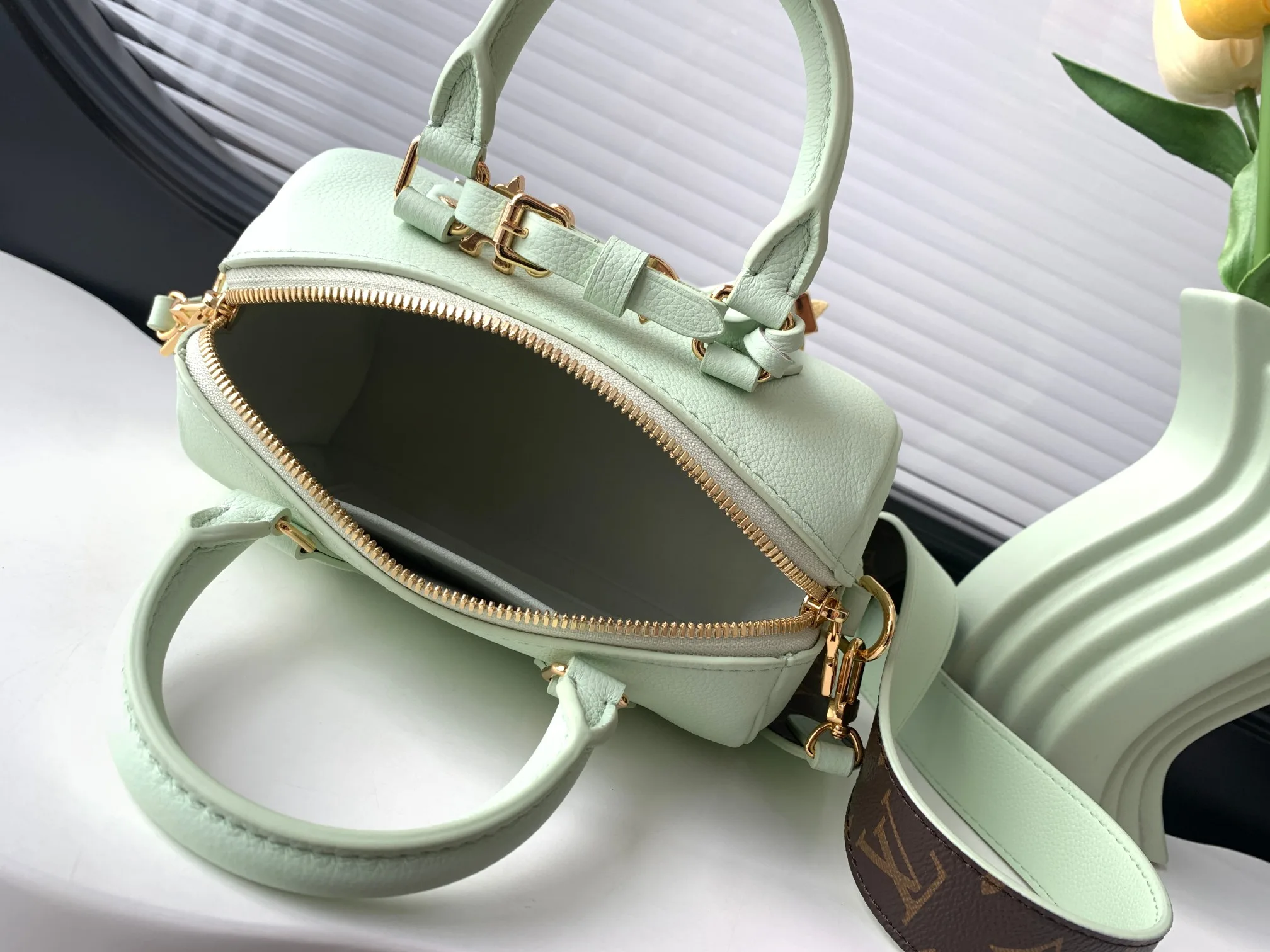 Louis Vuitton Green Speedy Top Handle Bag product photo from LabelPicks