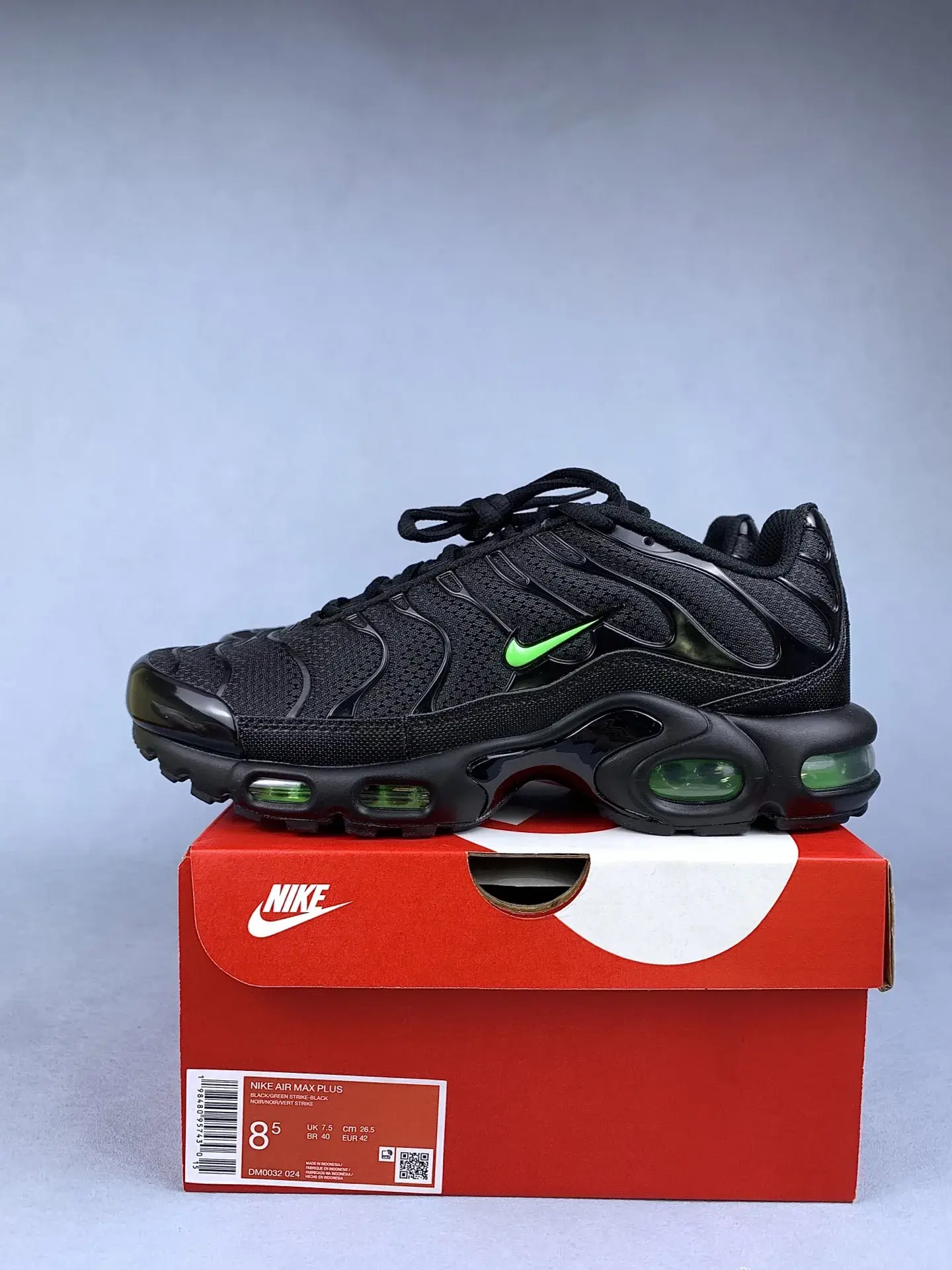 Nike Air Max Plus Shoes product photo from LabelPicks