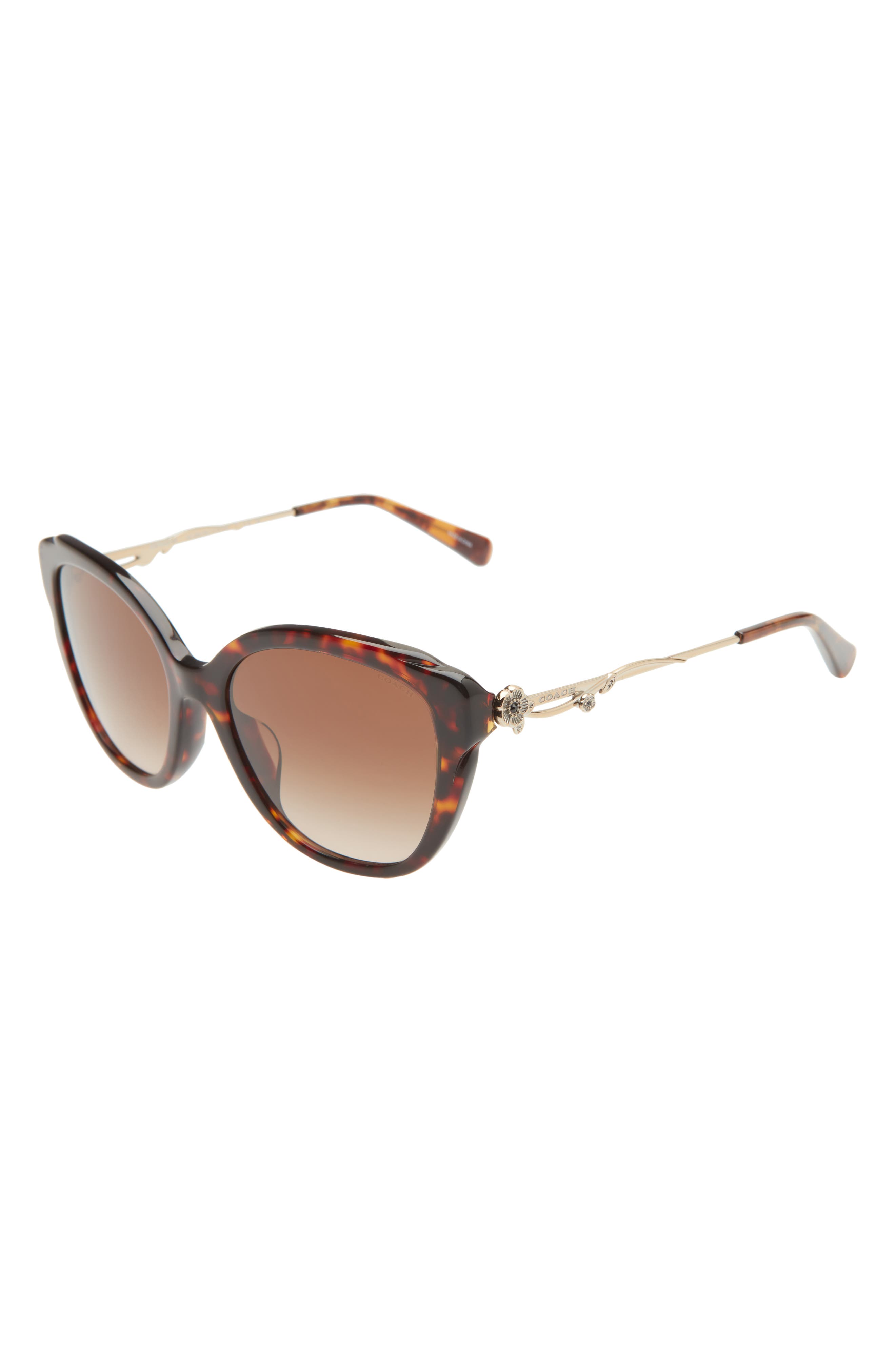 COACH 55mm Cat Eye Sunglasses