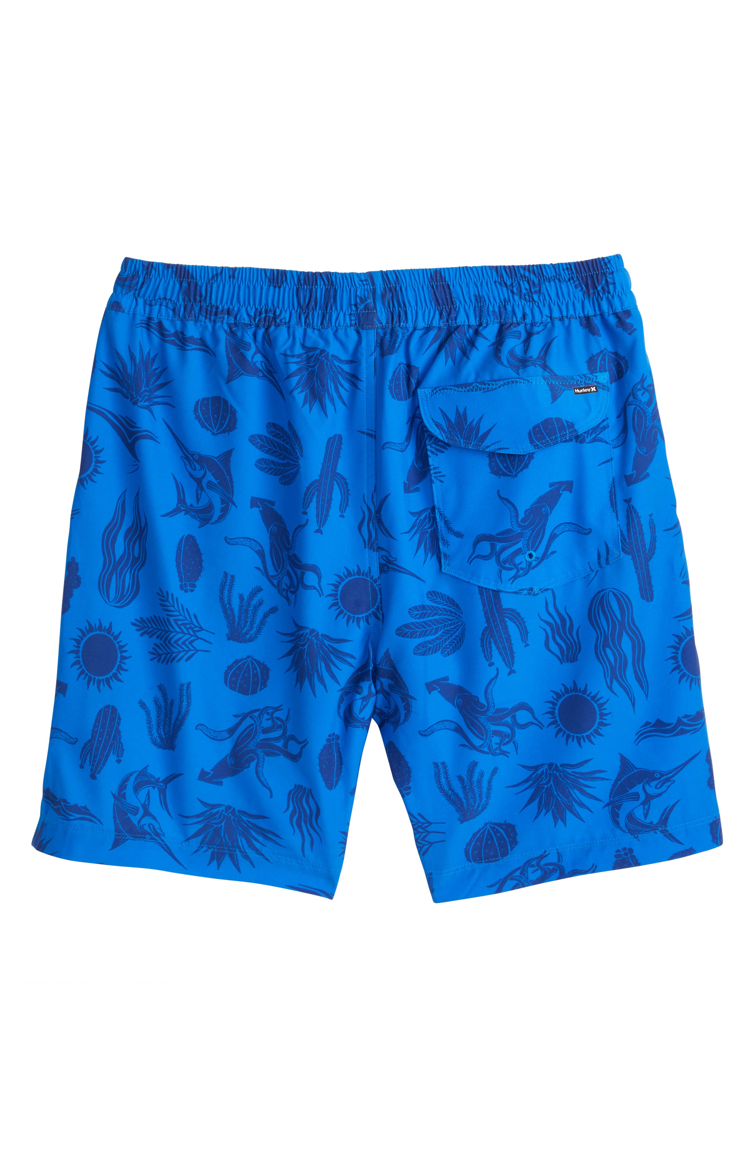 Hurley Danube Volley Swim Shorts