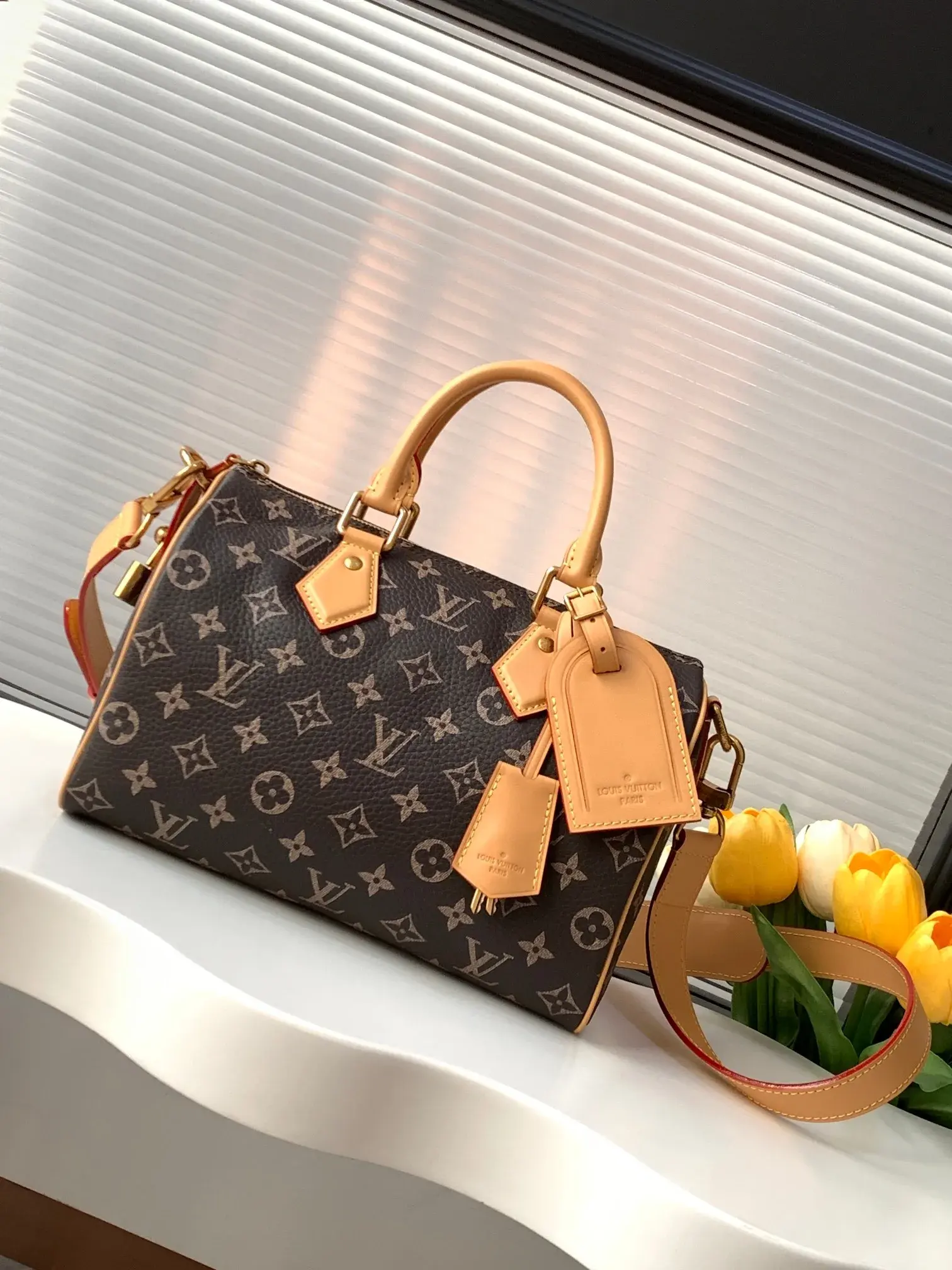 Louis Vuitton Monogram Canvas Speedy Top Handle Bag product photo from LabelPicks