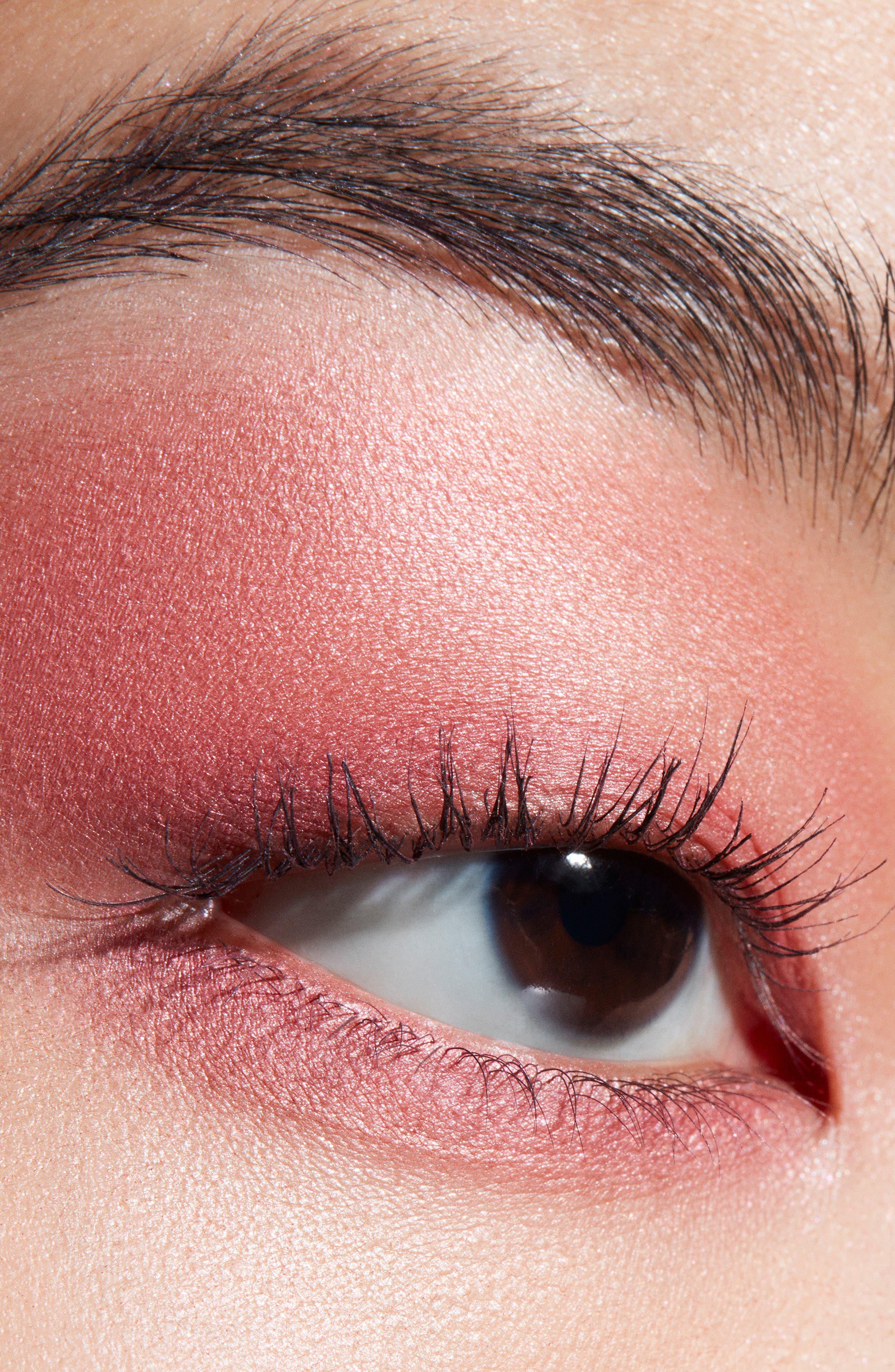 MAC Cosmetics Connect in Color 6-Pan Eyeshadow Palette