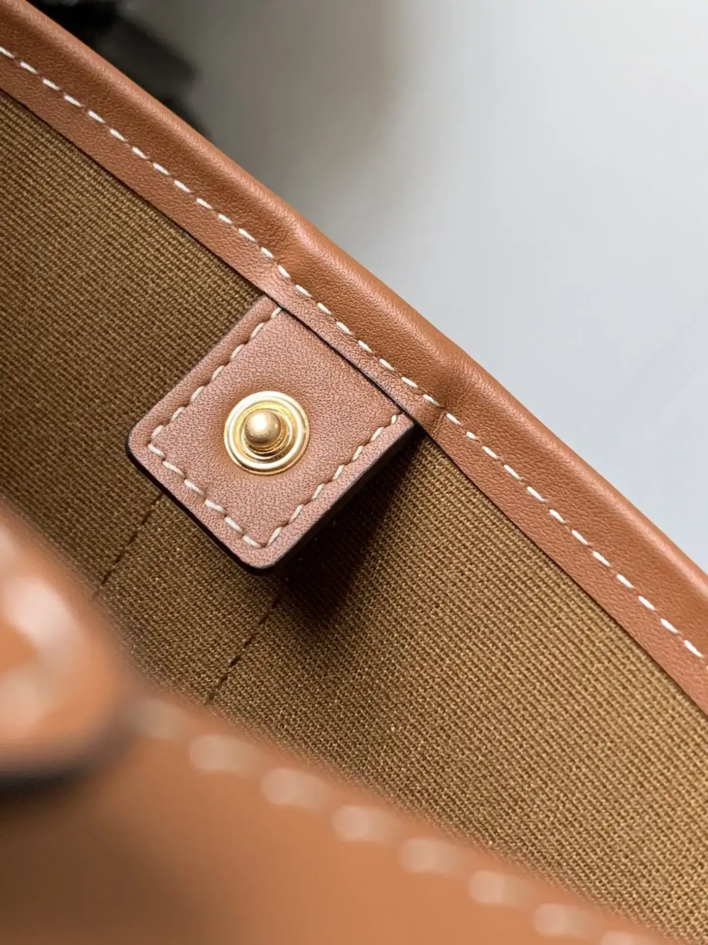 Celine Triomphe Canvas Bucket Bag product photo from LabelPicks