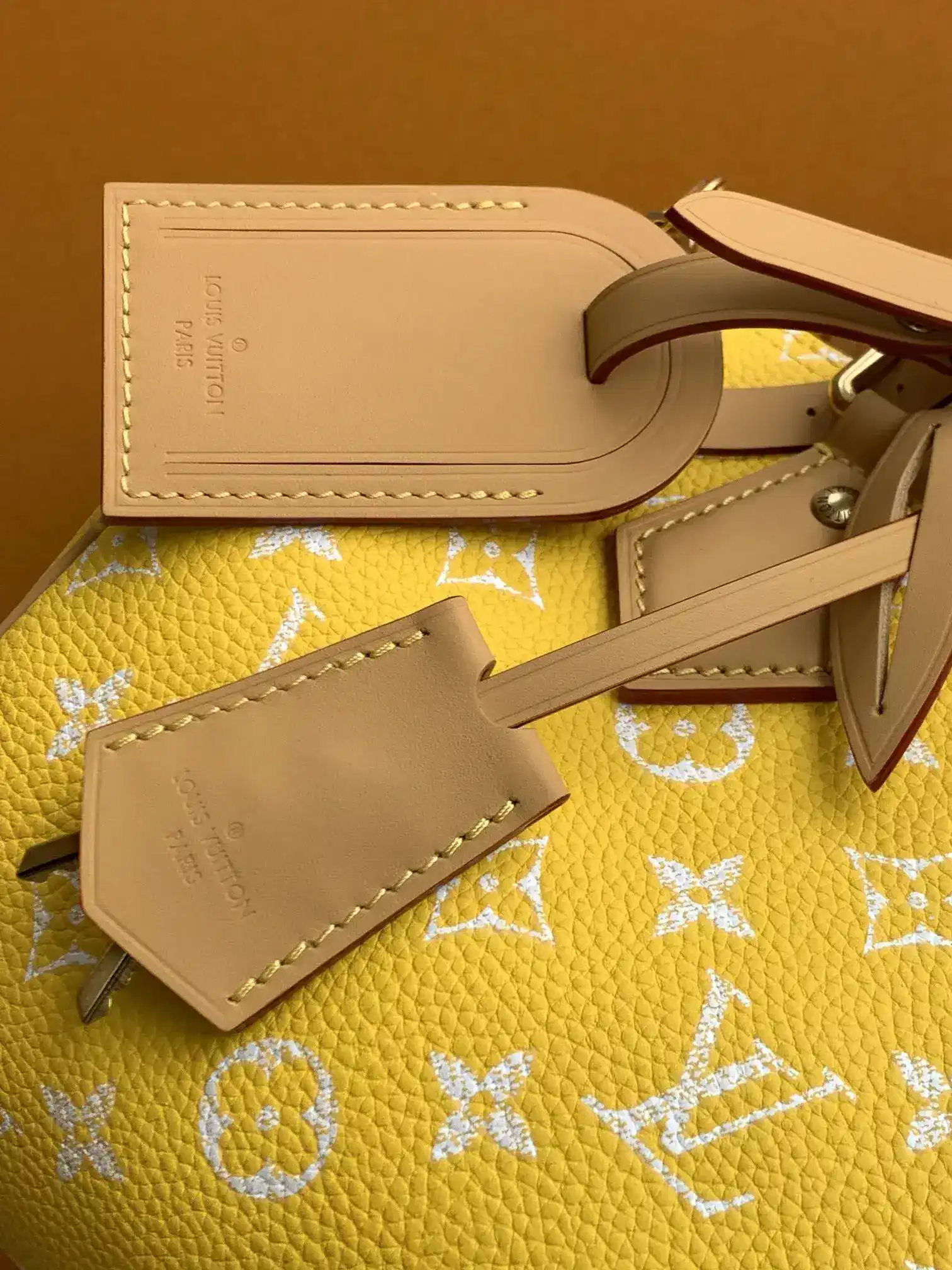 Louis Vuitton Yellow Calfskin Top Handle Bag product photo from LabelPicks
