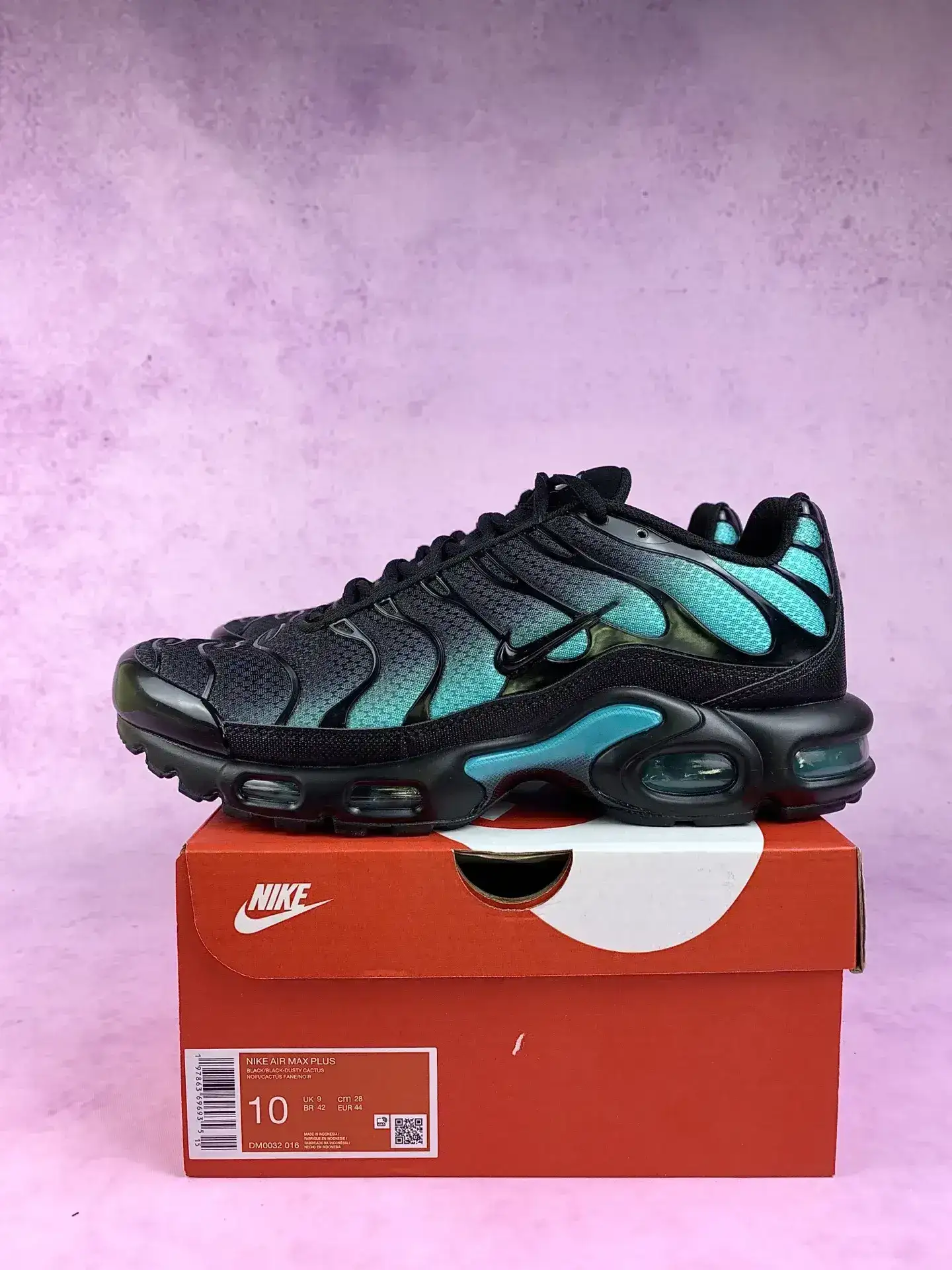 Nike Air Max Plus Shoes product photo from LabelPicks
