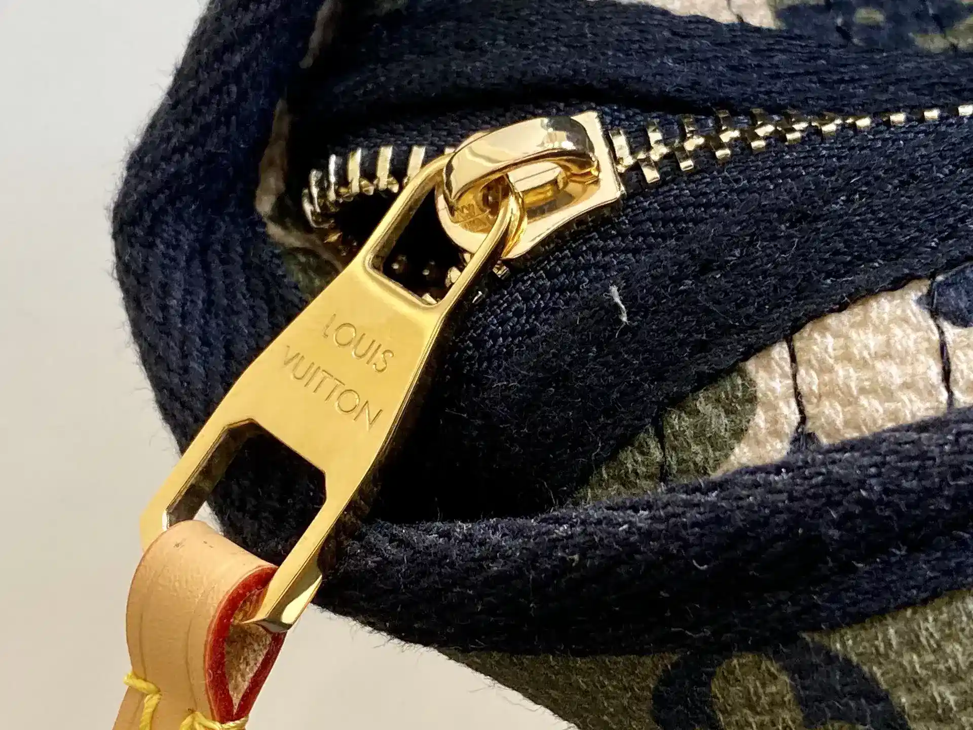 Louis Vuitton Canvas and Leather Tote Bag product photo from LabelPicks