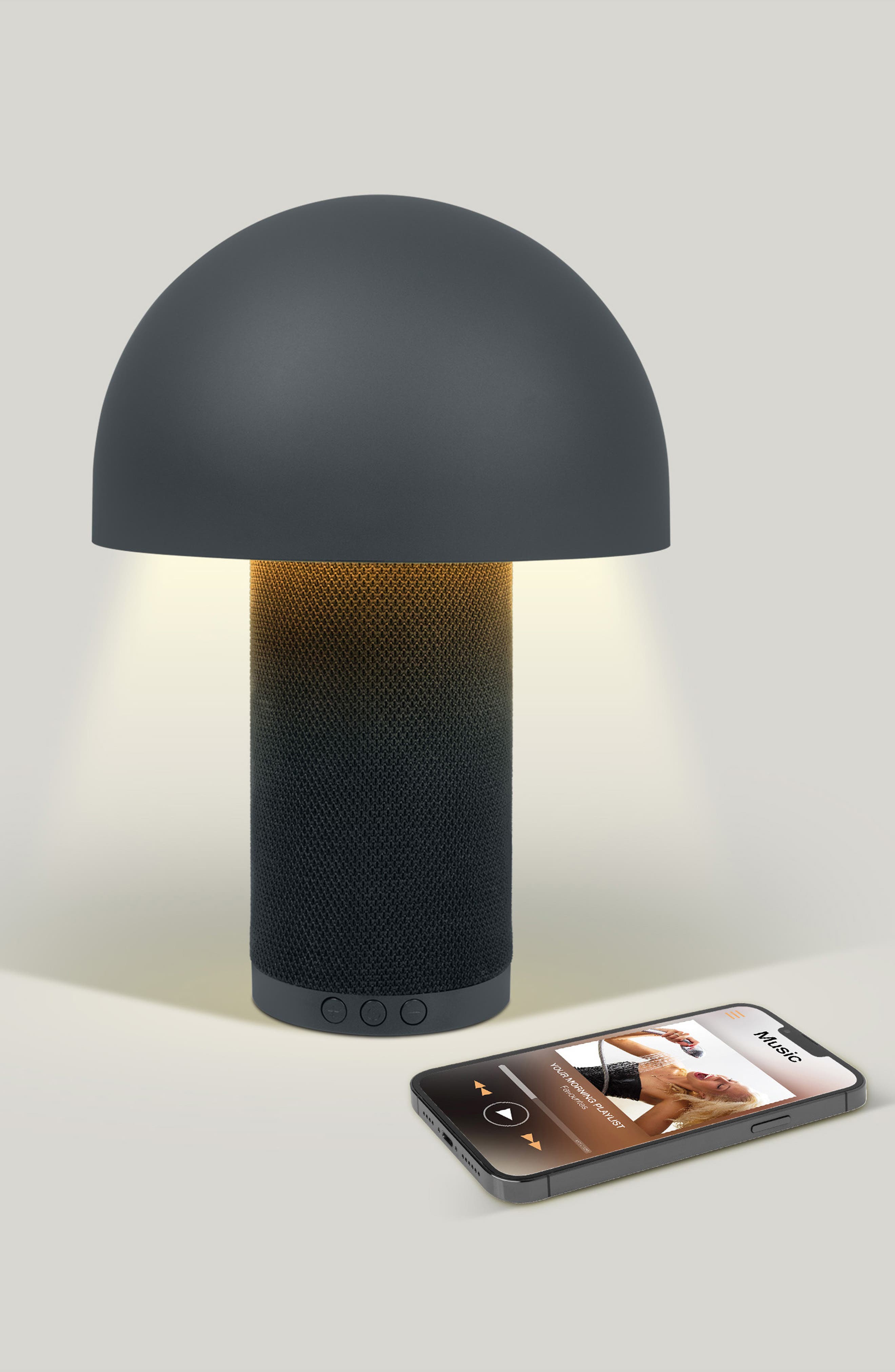 Innovibe Mushroom Lamp and Wireless Speaker