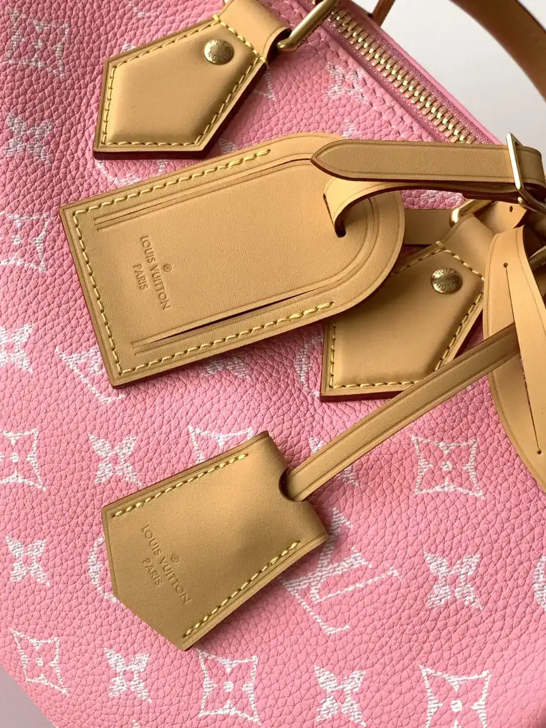 Louis Vuitton Pink Top Handle Bag product photo from LabelPicks