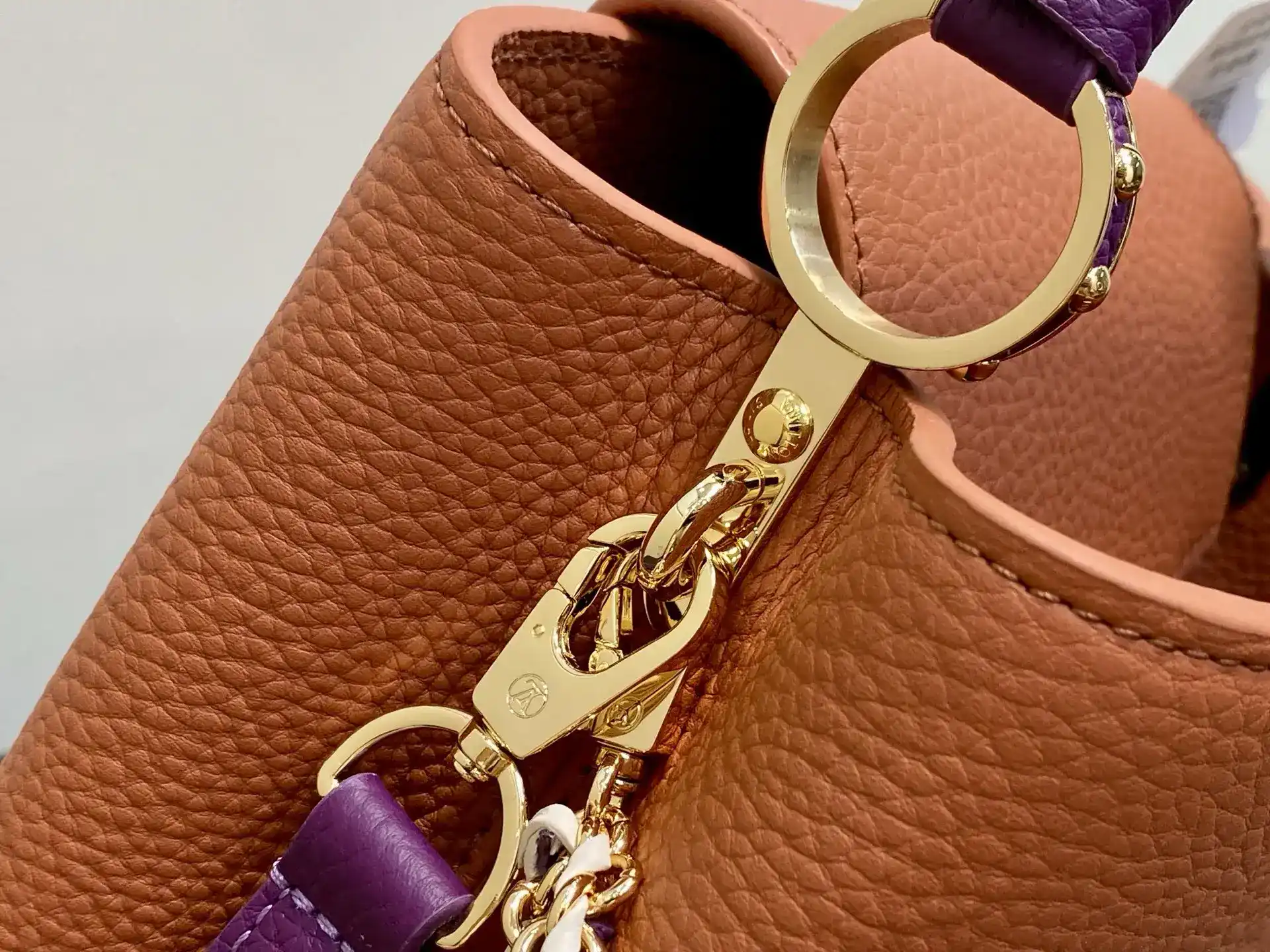 Louis Vuitton Brown Capucines Top Handle Bag product photo from LabelPicks