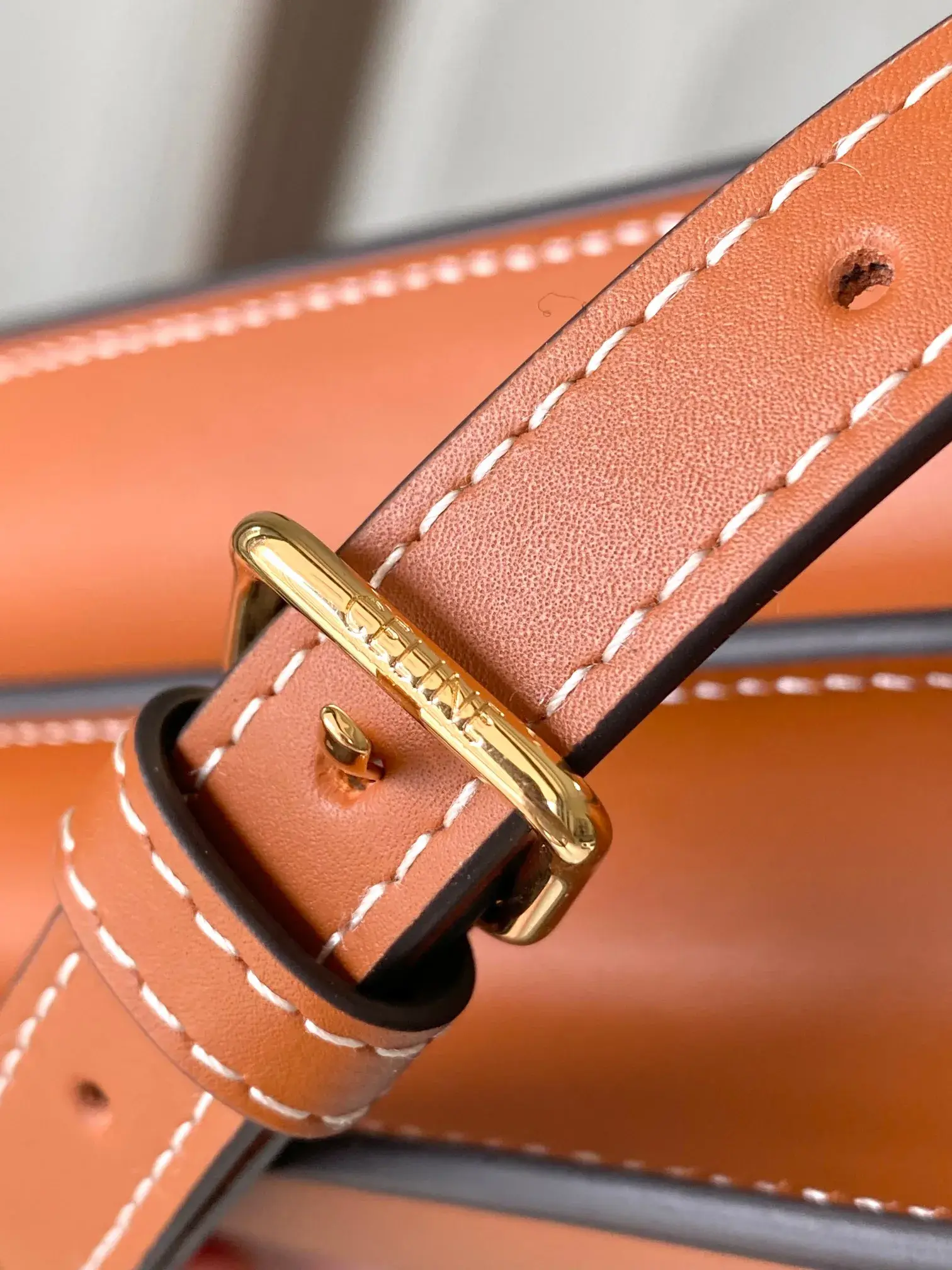 Celine Triomphe Calfskin Crossbody Bag product photo from LabelPicks