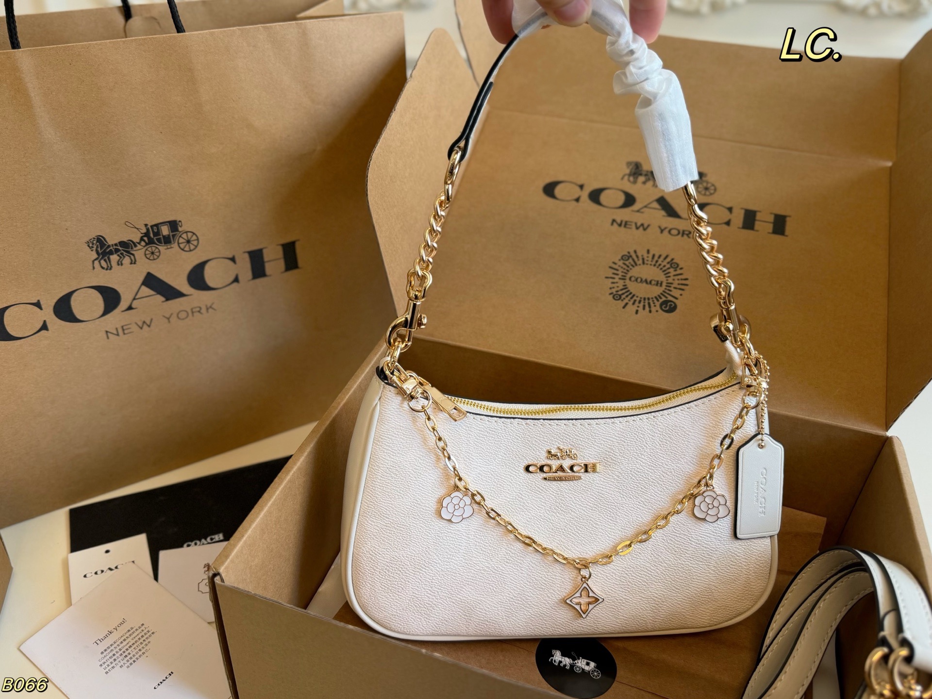 COACH's new Teri underarm bag