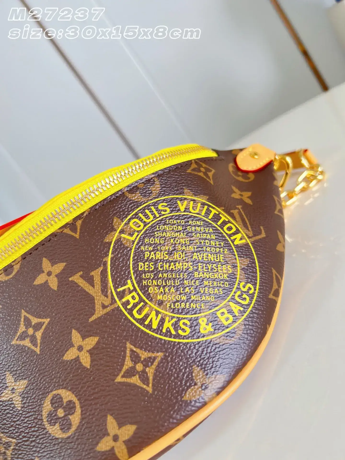 Louis Vuitton Nylon Belt Bag product photo from LabelPicks