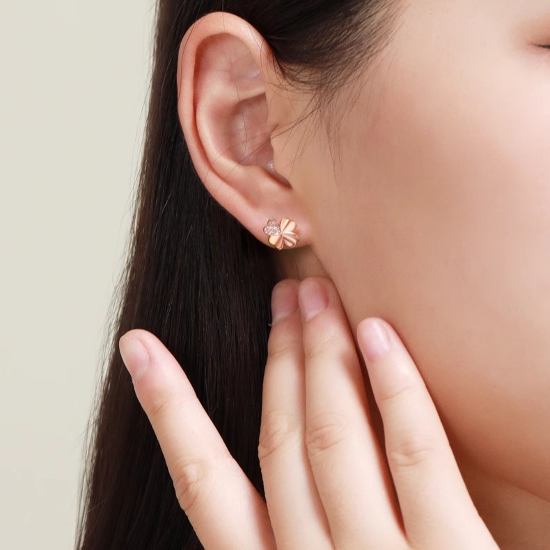 Sparkling weekly earring set for women, a fashionable and versatile gift box containing a week's worth of earrings, perfect for Valentine's Day or as a gift for your girlfriend