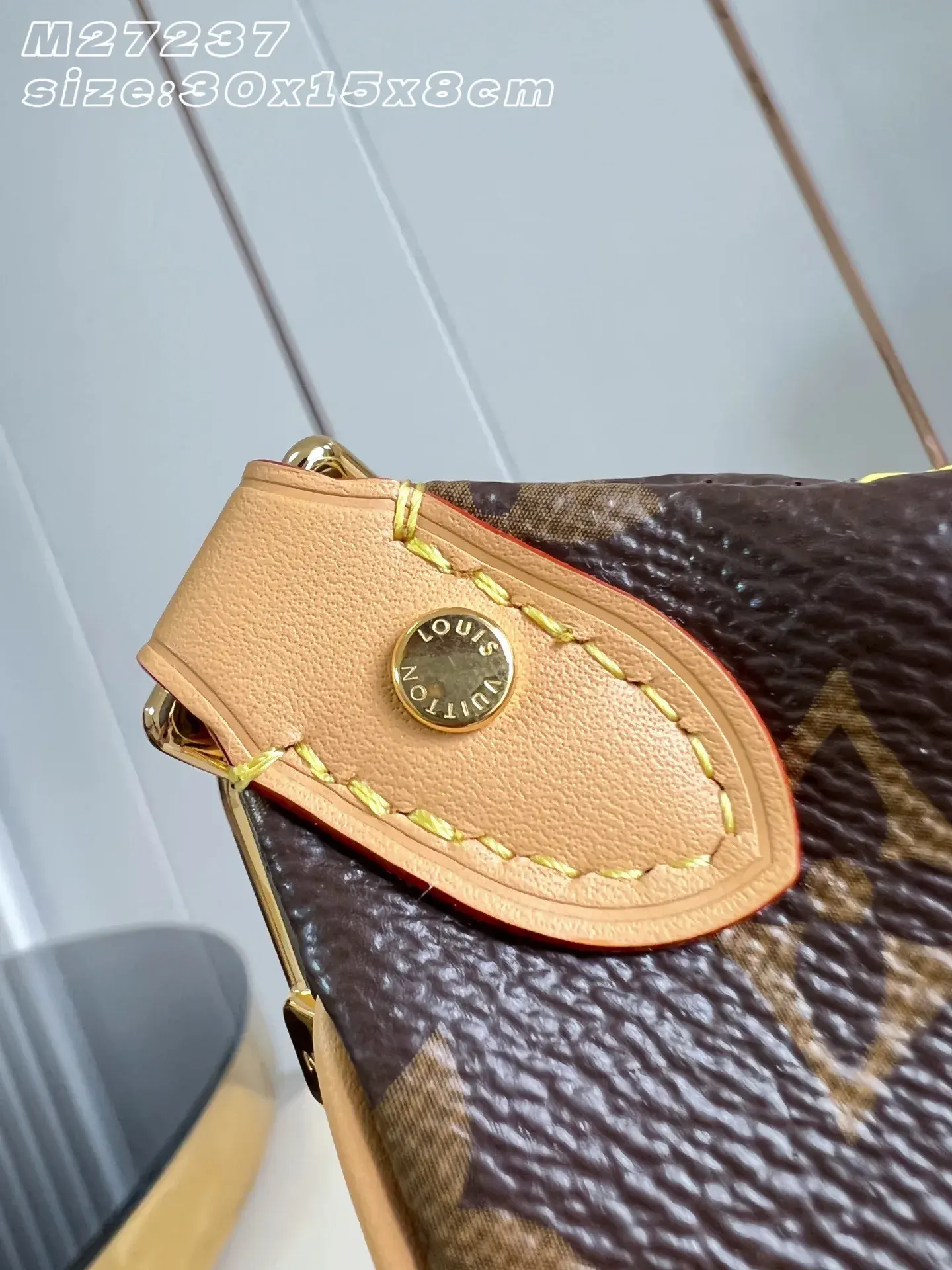 Louis Vuitton Nylon Belt Bag product photo from LabelPicks