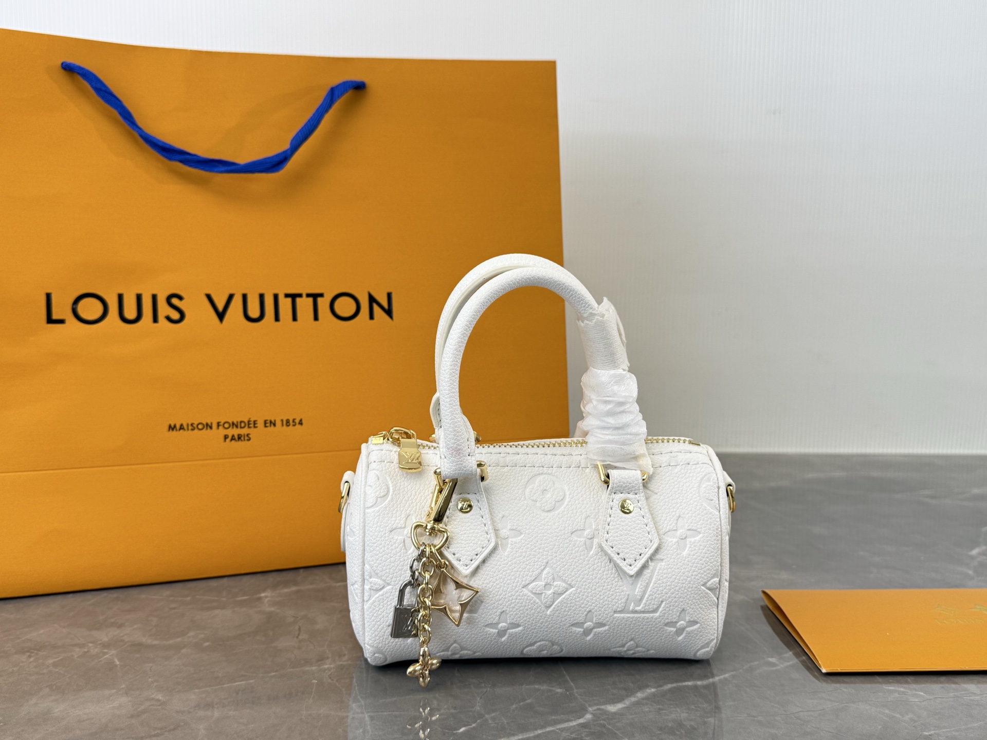 LV Speedy Nano bag