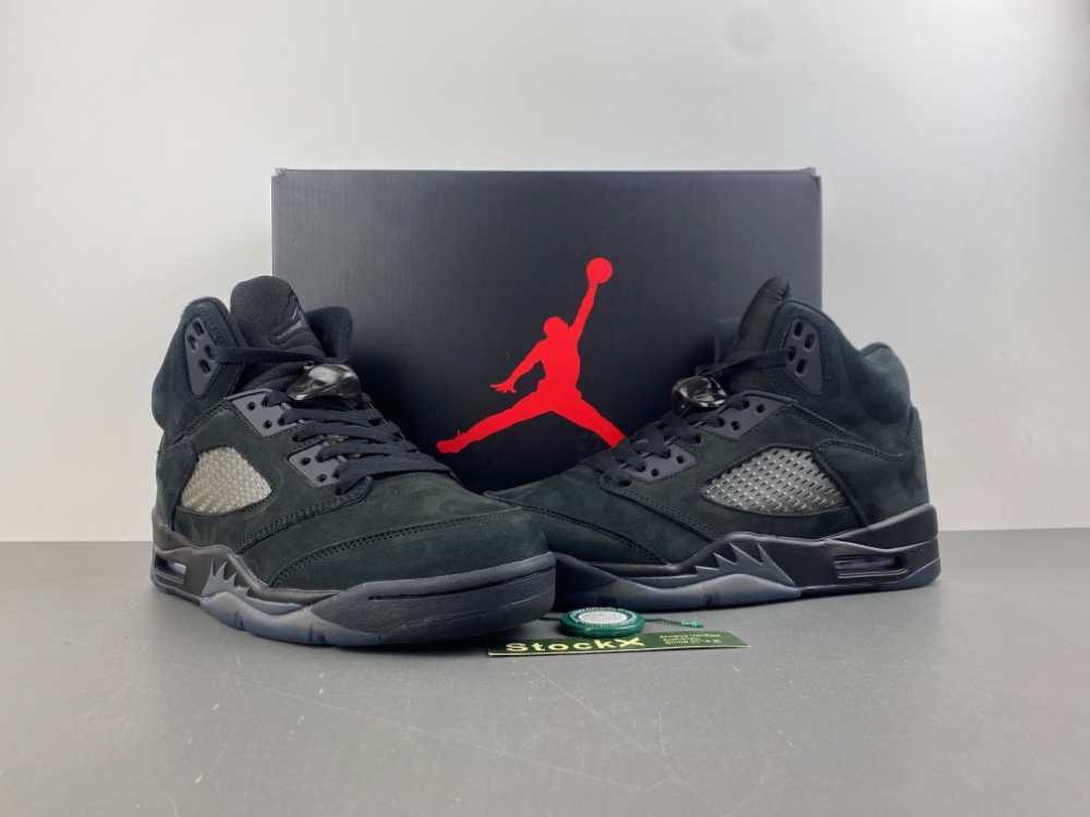 Jordan Air Jordan 5 “Black Cat“