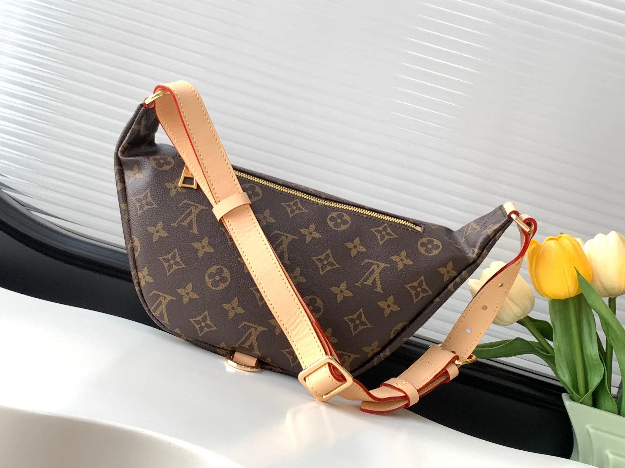 Louis Vuitton Monogram Canvas Belt Bag product photo from LabelPicks