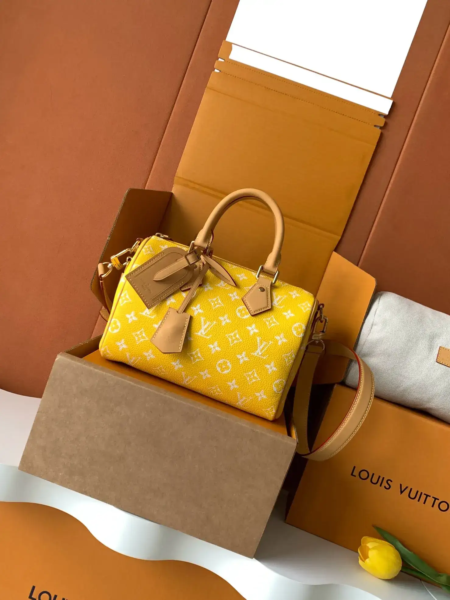 Louis Vuitton Yellow Calfskin Top Handle Bag product photo from LabelPicks