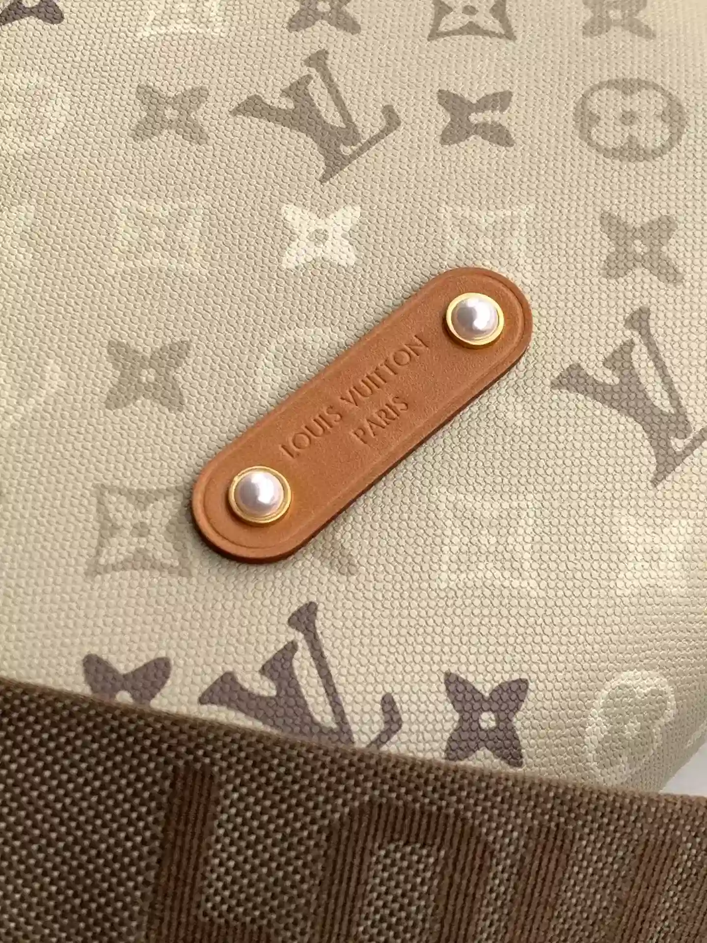 Louis Vuitton Curved Hobo Bag product photo from LabelPicks