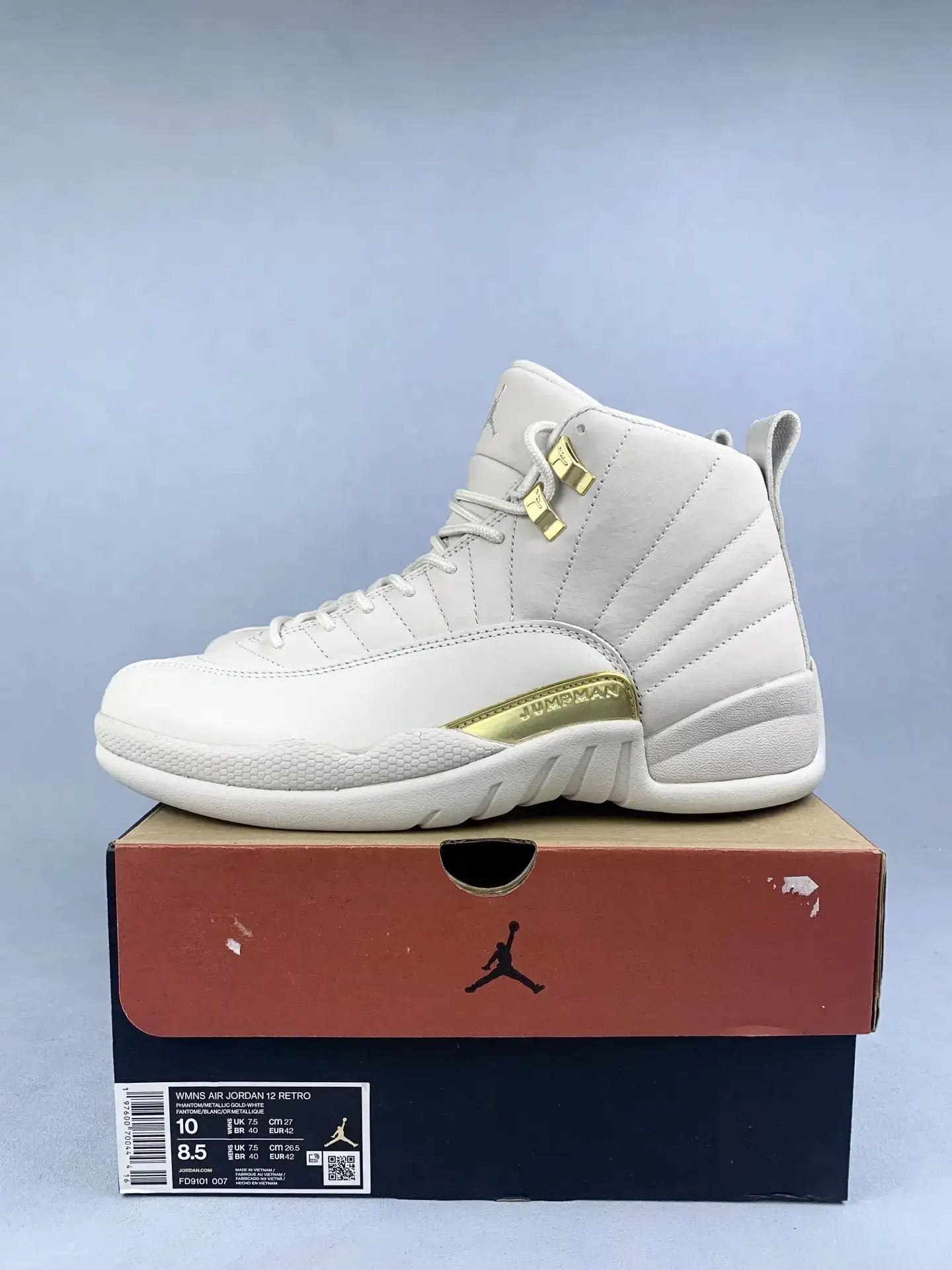 Air Jordan 12 Retro 