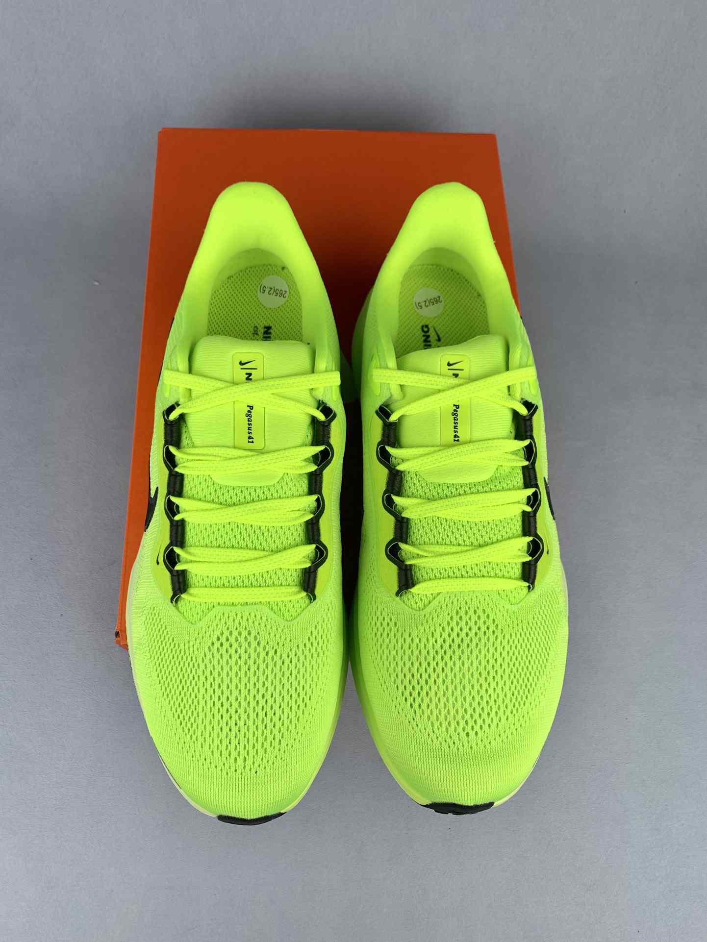 Nike Pegasus 41 Shoes