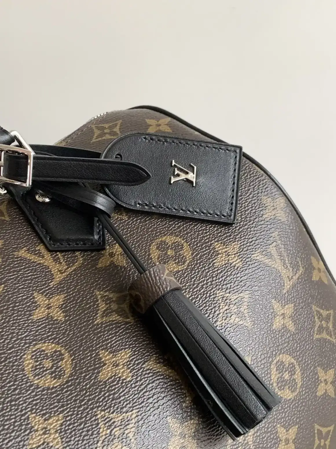 Louis Vuitton Monogram Canvas Speedy Top Handle Bag product photo from LabelPicks