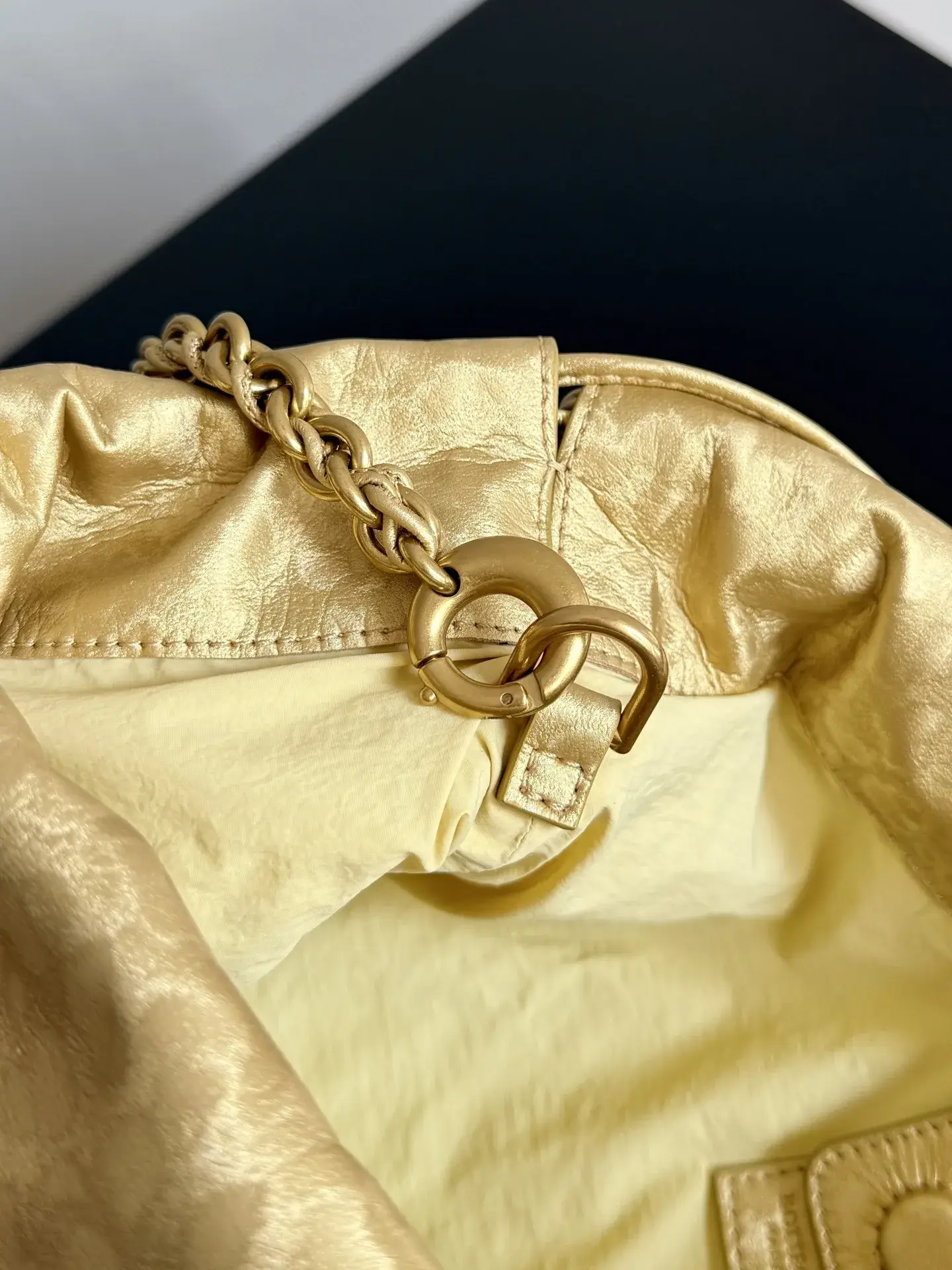 Bottega Veneta Dustbag Nylon Clutch product photo from LabelPicks