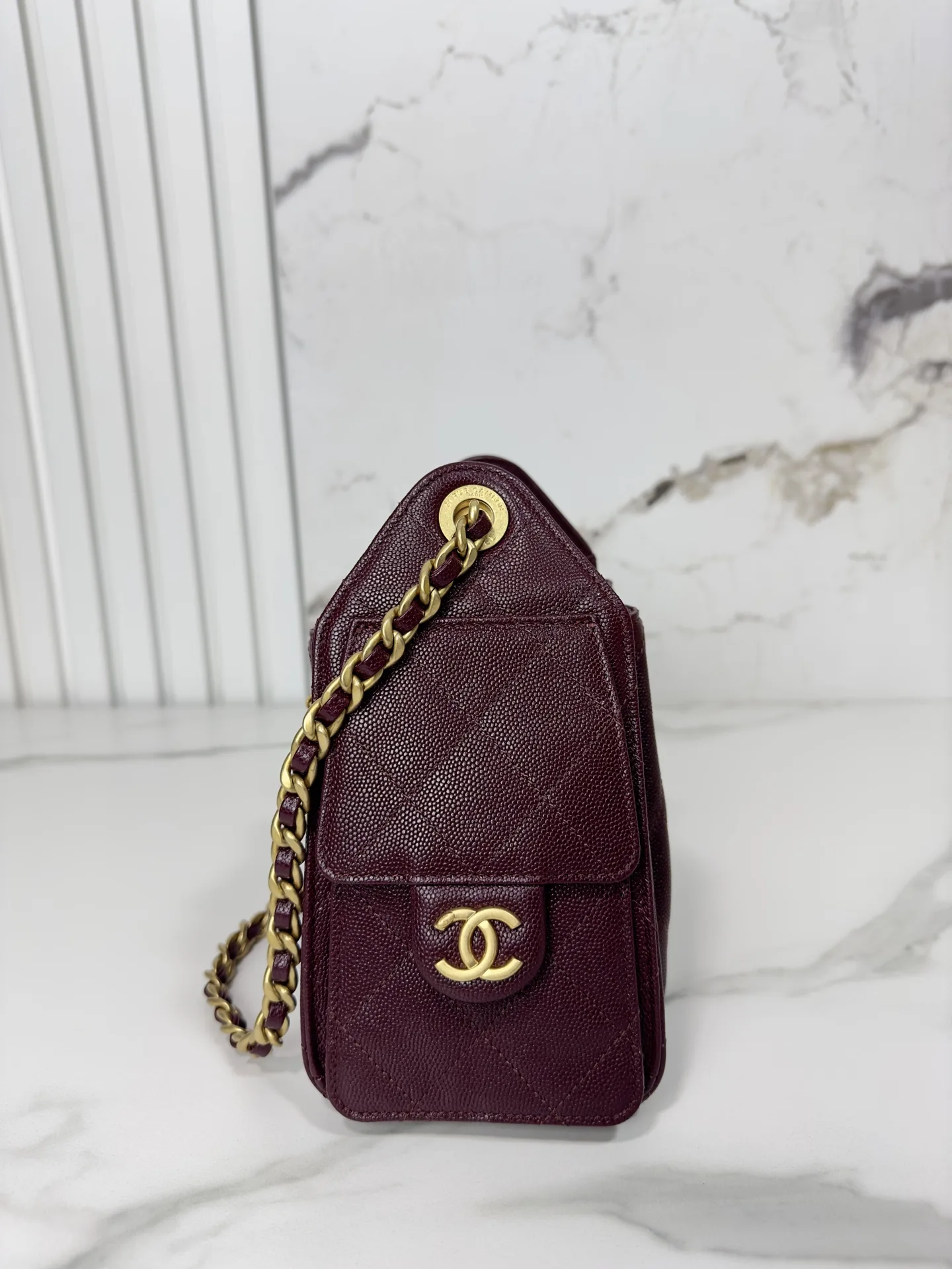 Chanel Curved Hobo Bag product photo from LabelPicks