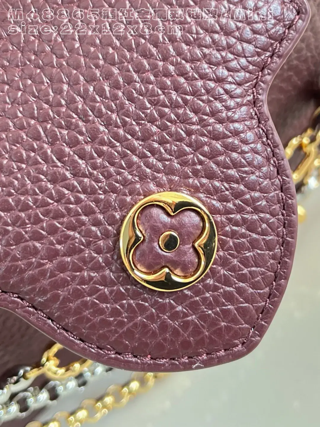 Louis Vuitton Capucines Burgundy Calfskin Crossbody Bag product photo from LabelPicks