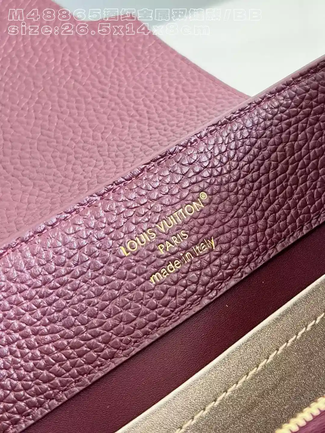 Louis Vuitton Capucines Burgundy Grained Leather Crossbody Bag product photo from LabelPicks