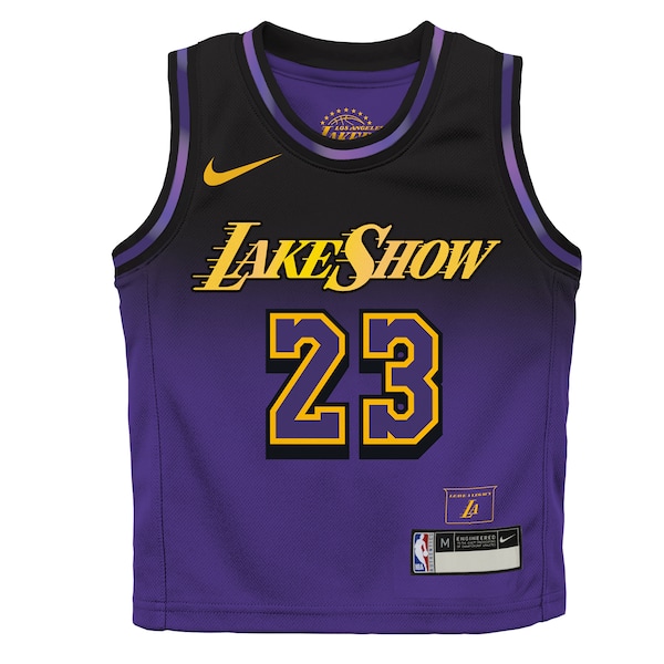 LeBron James Los Angeles Lakers Nike Preschool 2024/25 Swingman Player Jersey -  City Edition - Purple